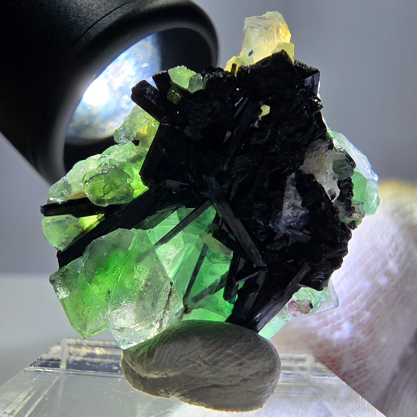 Spécimen de fluorite fantôme, tourmaline Schorl et quartz fumé, Erongo, Namibie, 31 x 25 x 17 mm