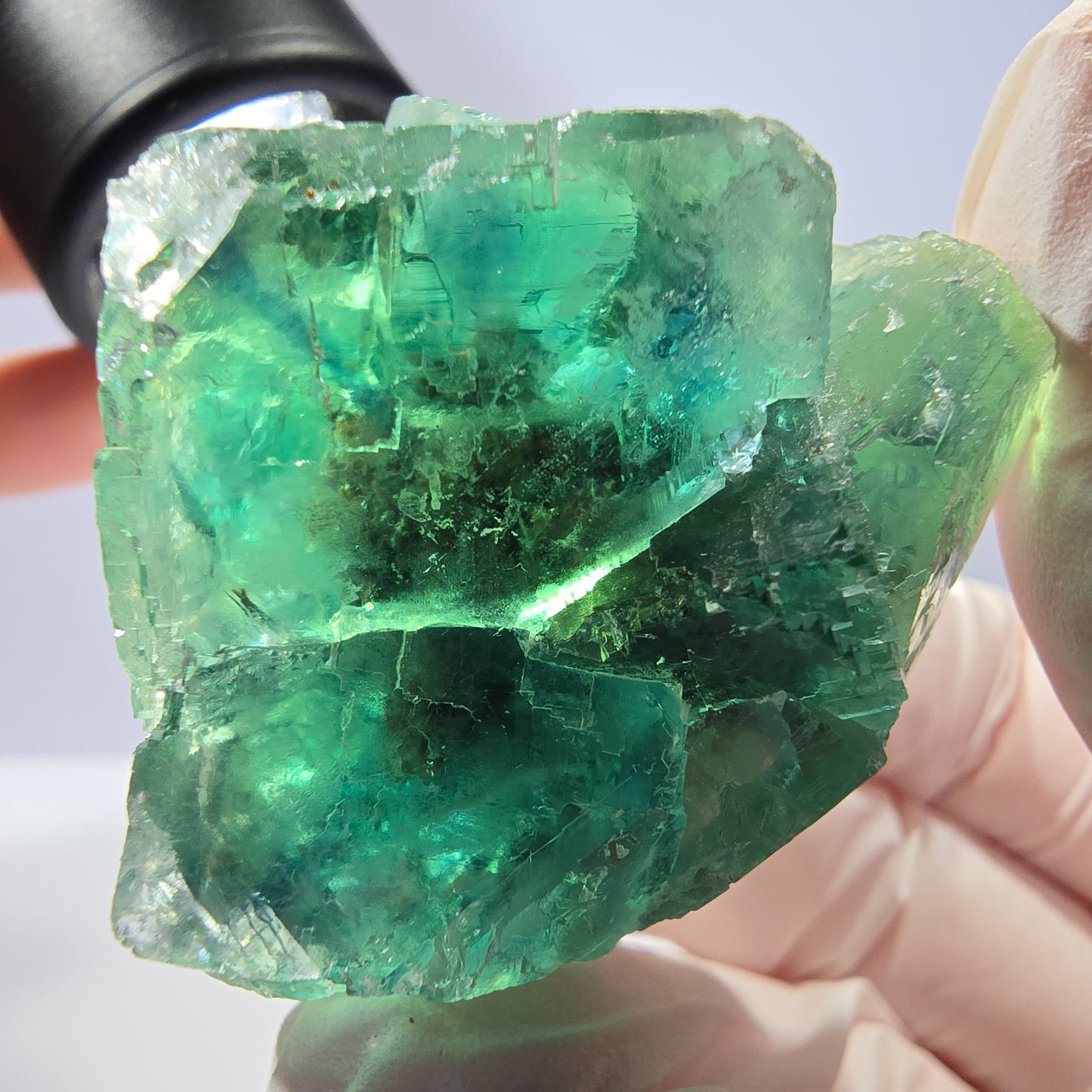 Spécimen de cube de fluorite fantôme transparente, vert parqueté, Okorusu, Namibie, 42 x 38 x 38 mm