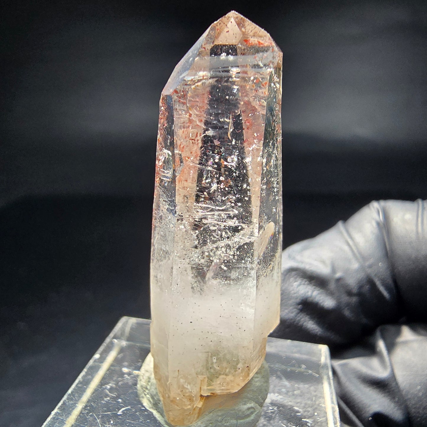 Klare Rauchquarz Spitze mit rotem Eisen Goboboseb Namibia 38*14*11mm Sammlung