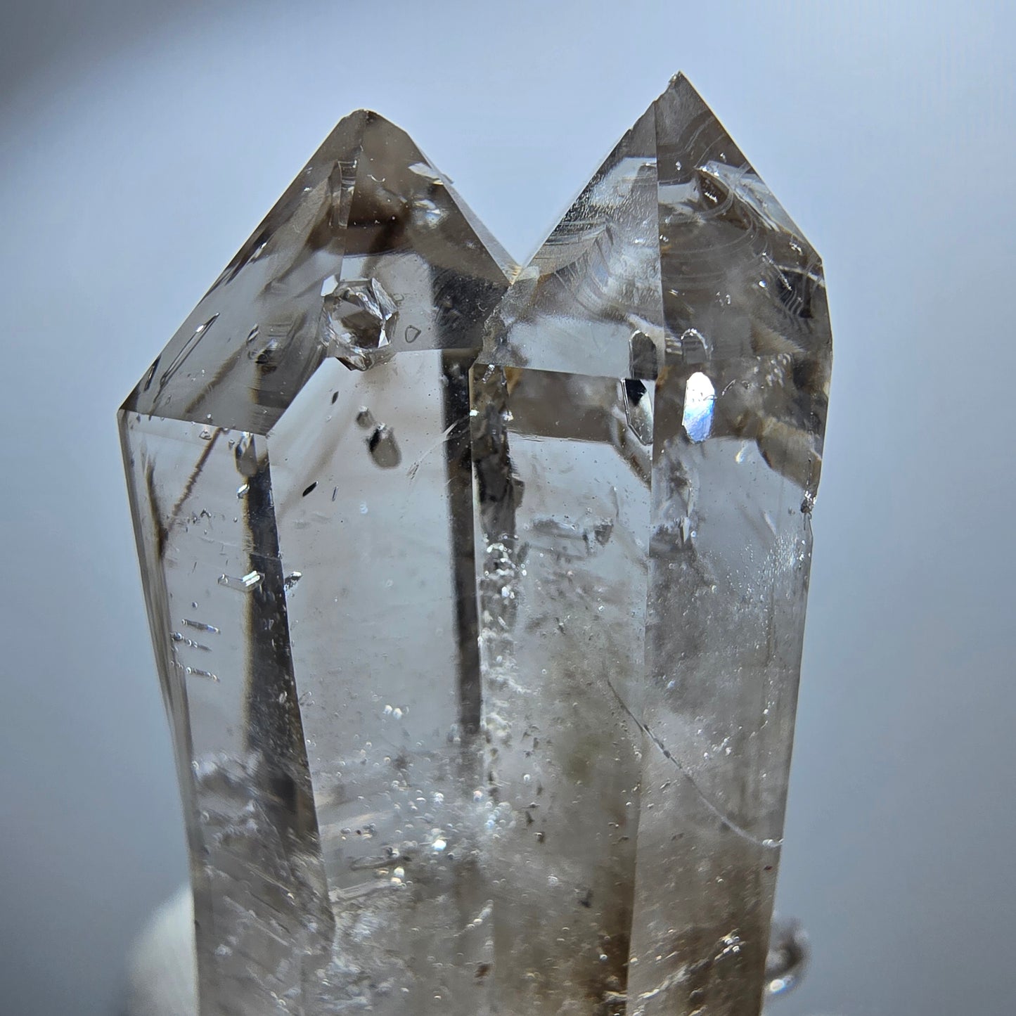 Sceptre Enhydro Phantom Smoky Quartz DT, 2x Bubble Goboboseb, Namibie 42*29*17mm