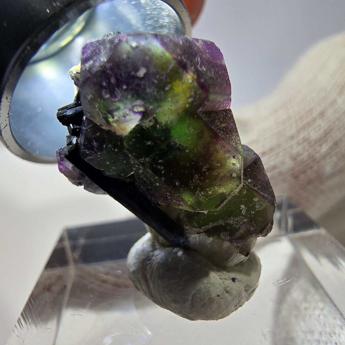 Cube de fluorite fantôme hexagonal, muscovite, tourmaline Schörl Erongo, Namibie 21*14*11mm