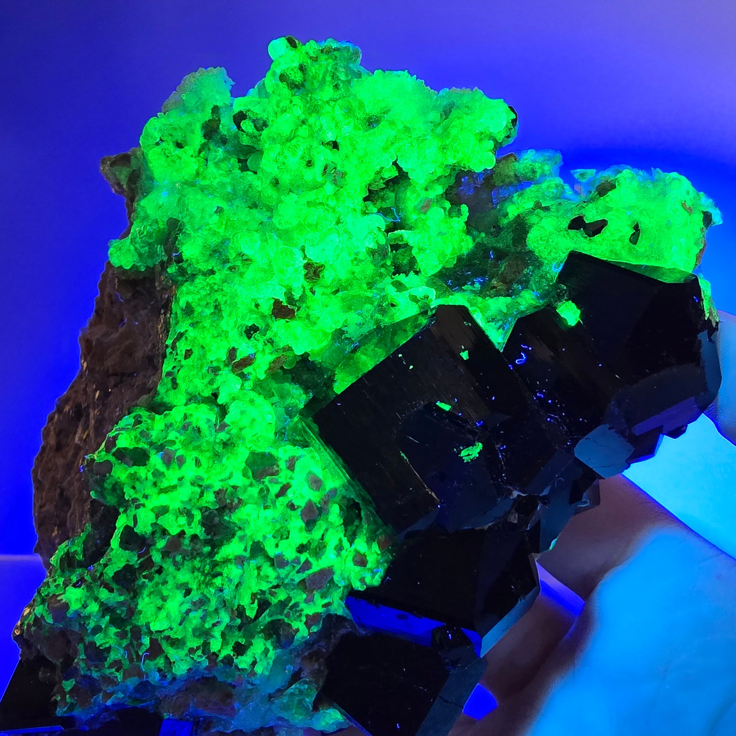 Grand spécimen de tourmaline Schorl, hyalite, quartz fumé et orthose, Erongo, Namibie, 123 x 92 x 47 mm