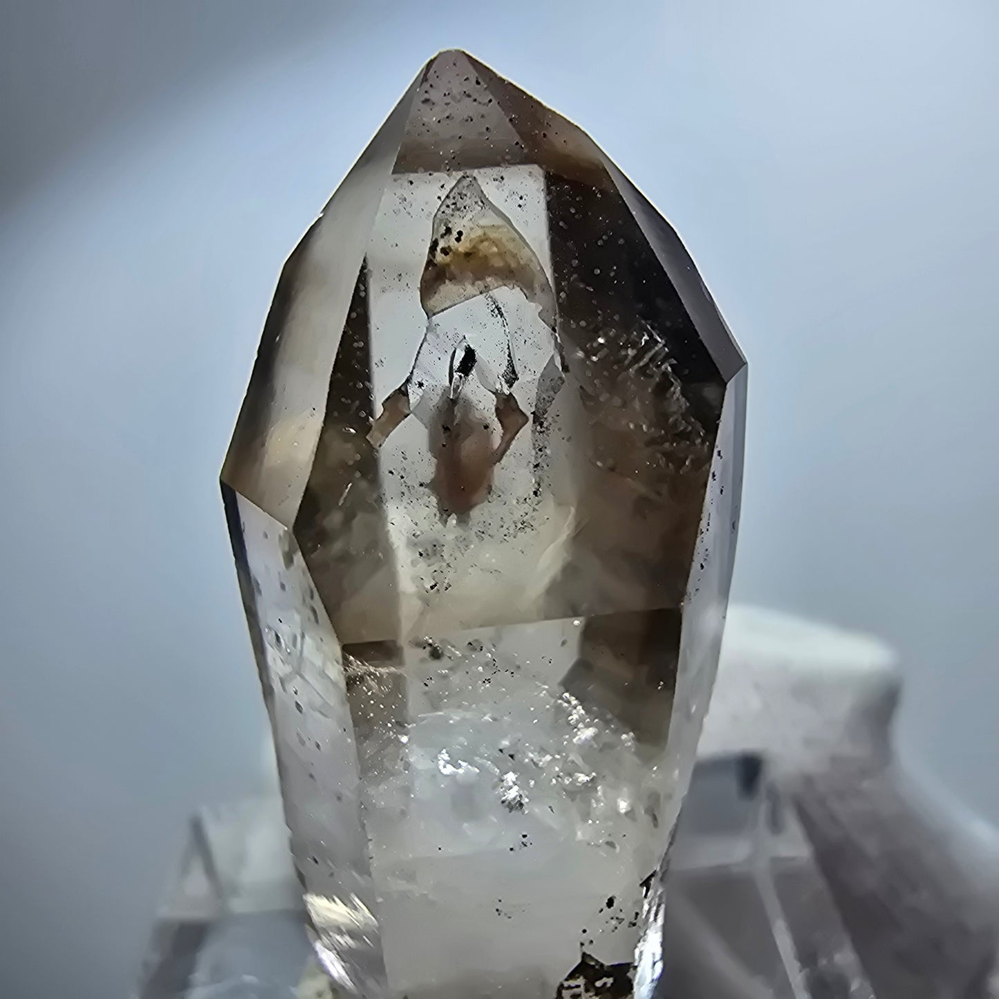 Pointe de sceptre en quartz fumé fantôme transparent, Goboboseb, Namibie, 35 x 13 x 13 mm