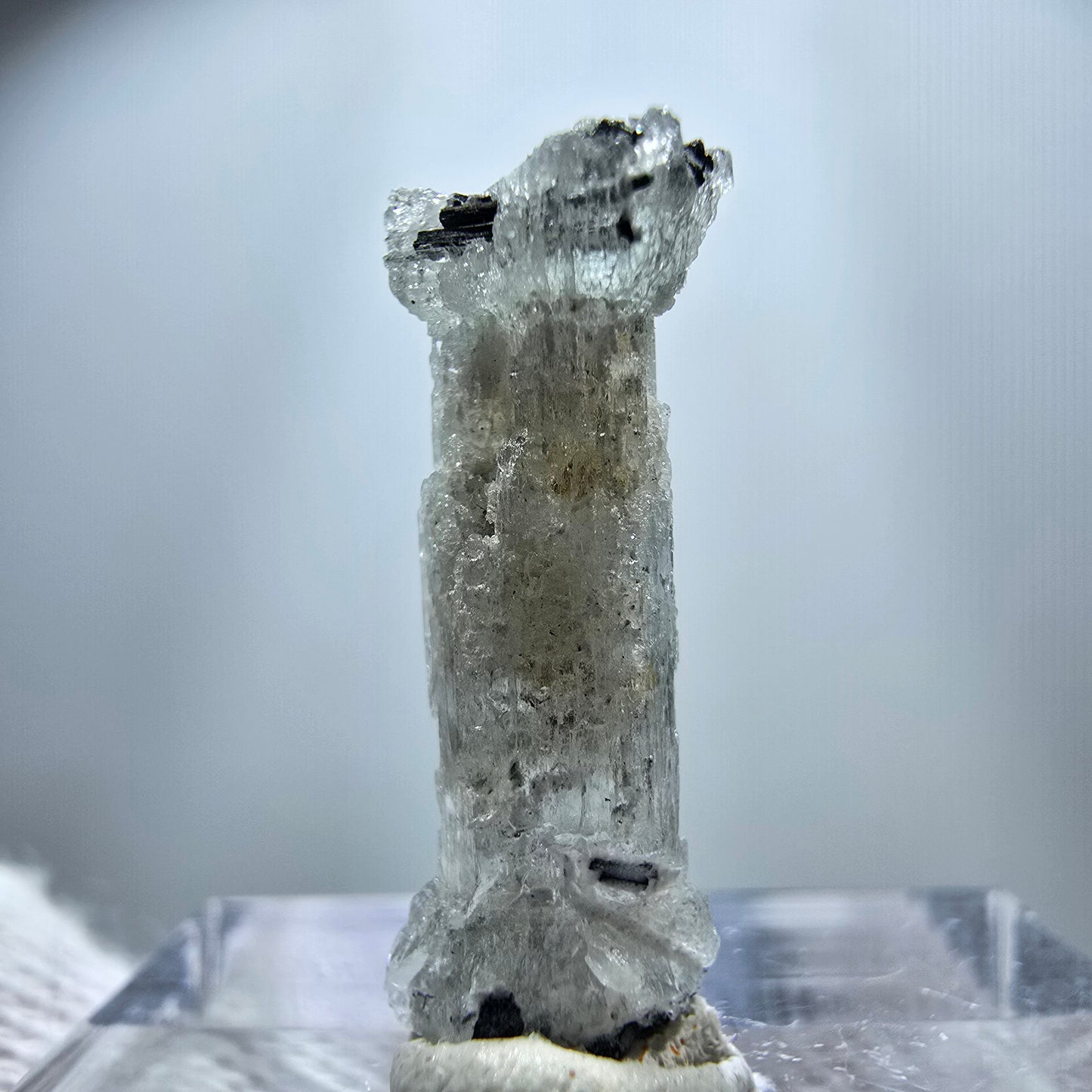 Seltener Aquamarin X mit Schörl Turmalin Erongo, Namibia 21*8*6mm