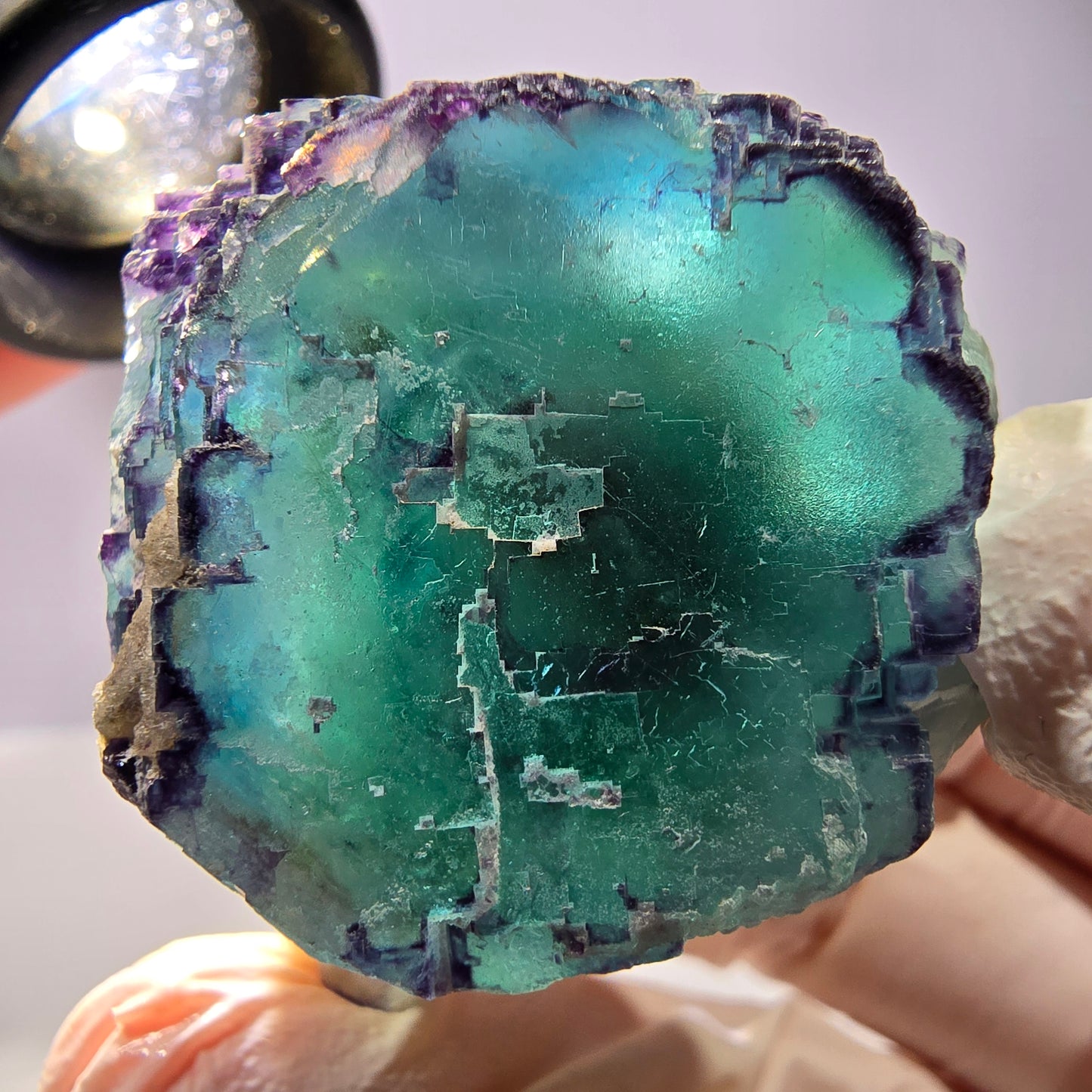 Spécimen de cube de fluorite fantôme, parqueté, zonal Okorusu, Namibie 44*41*25 mm