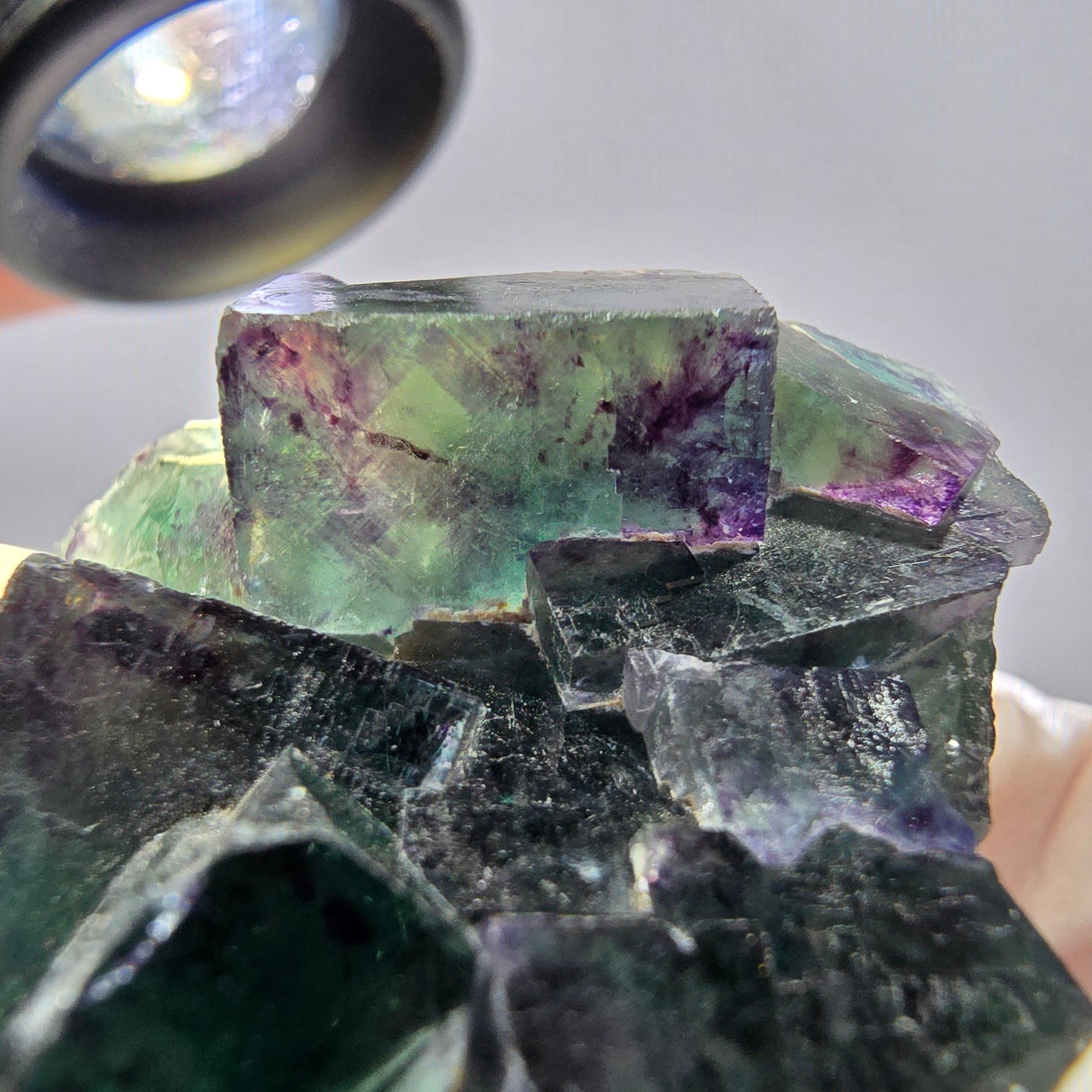 Spécimen de cube de fluorite fantôme parqueté vert violet Okorusu, Namibie 45*40*24 mm