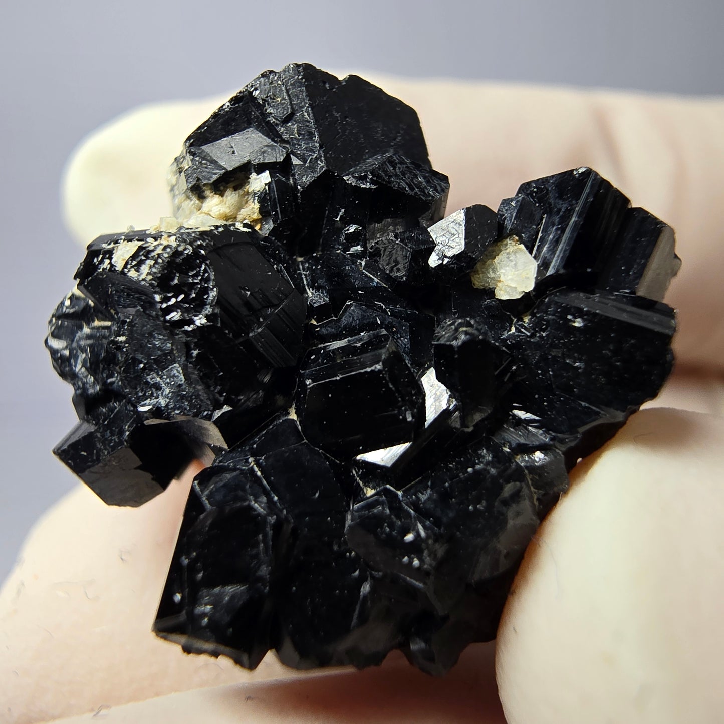 Tourmaline Schörl symétrique, stade orthose collection Erongo Namibie 23*22*20mm