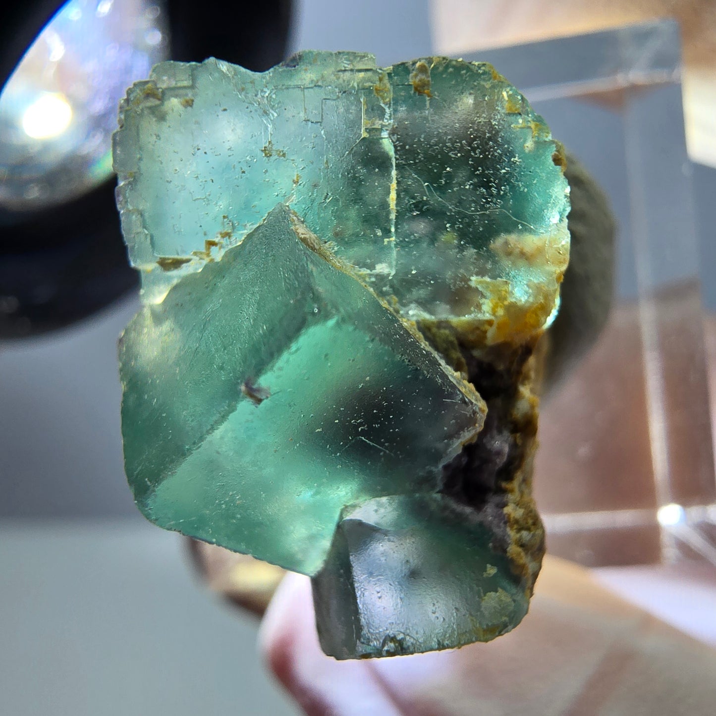 Spécimen de cube de fluorite fantôme, parquet vert Okorusu, Namibie 25 x 20 x 15 mm