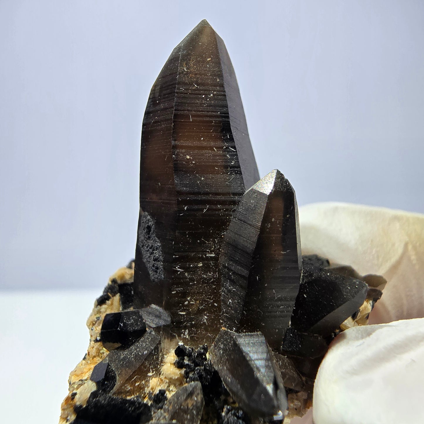 Rare spécimen de tourmaline Schorl et d'orthose de quartz fumé, Erongo, Namibie, 37 x 37 x 26 mm