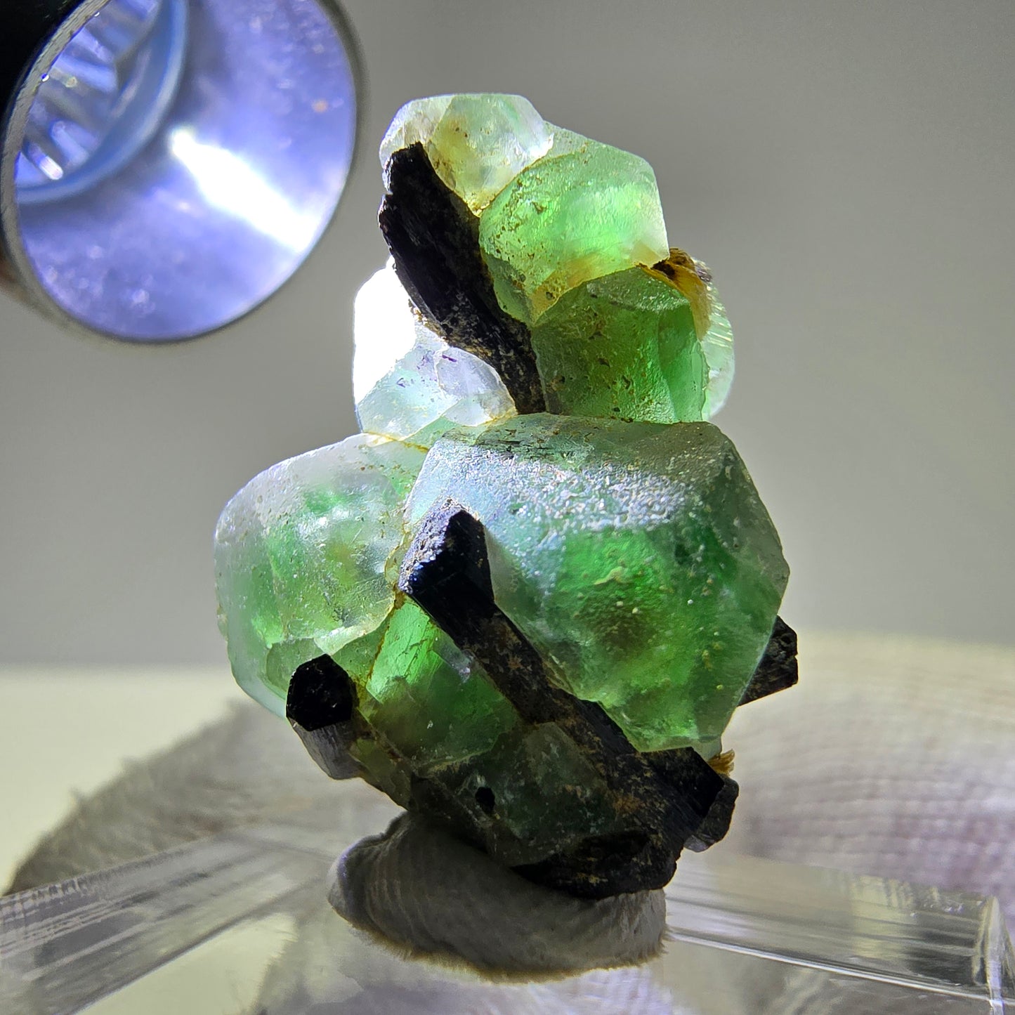 Spécimen de tourmaline Schorl hexagonale en cube de fluorite fantôme, Erongo, Namibie, 26 x 19 x 12 mm