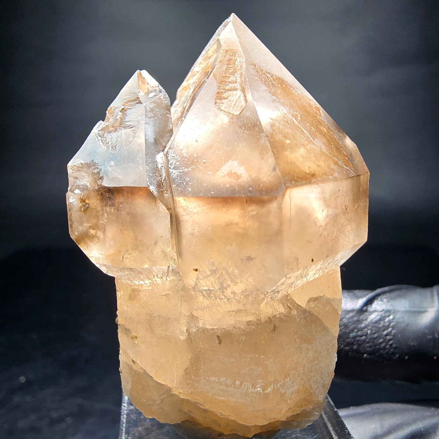Klare Phantom Rauchquarz Zepter Spitze Erongo, Namibia 51*44*33mm Sammlung