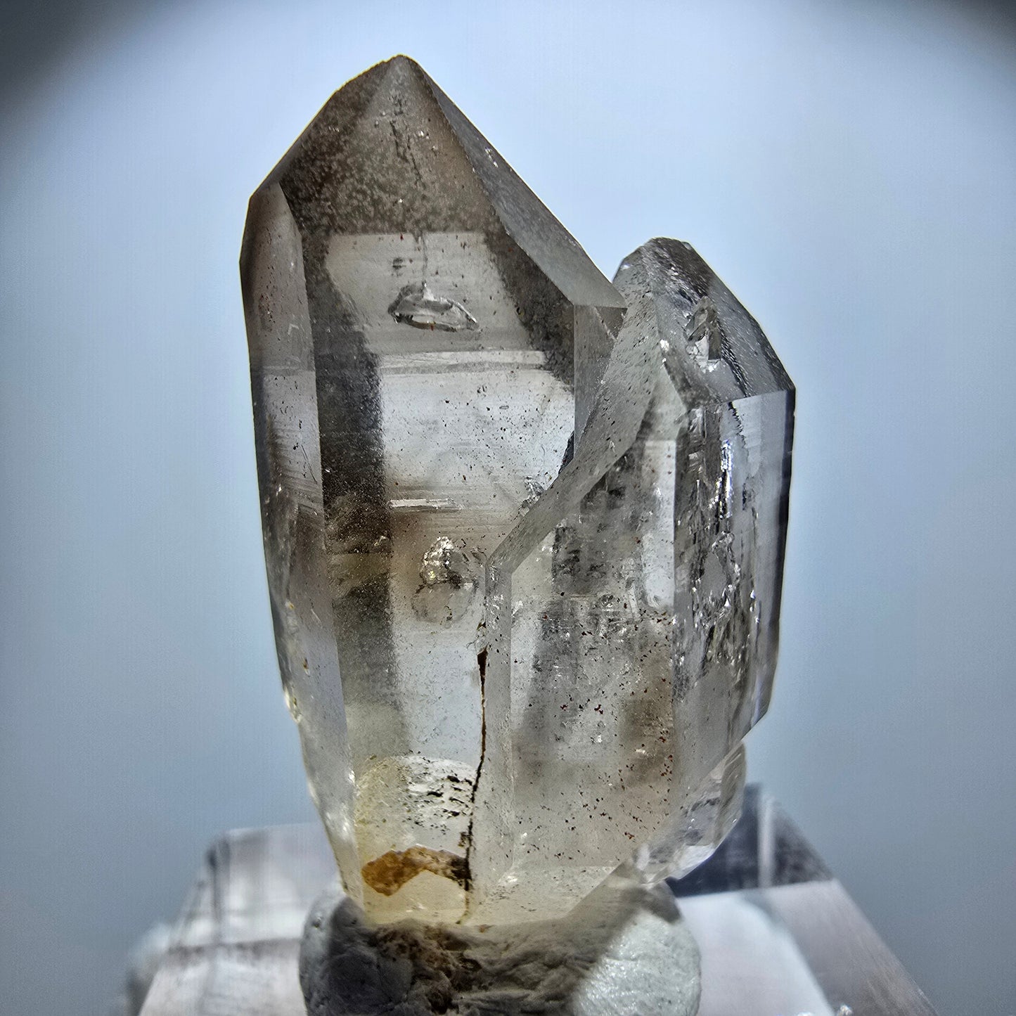 Enhydro Phantom Rauchquarz Zepter Stufe, 1x Blase Goboboseb, Namibia 33*19*15mm
