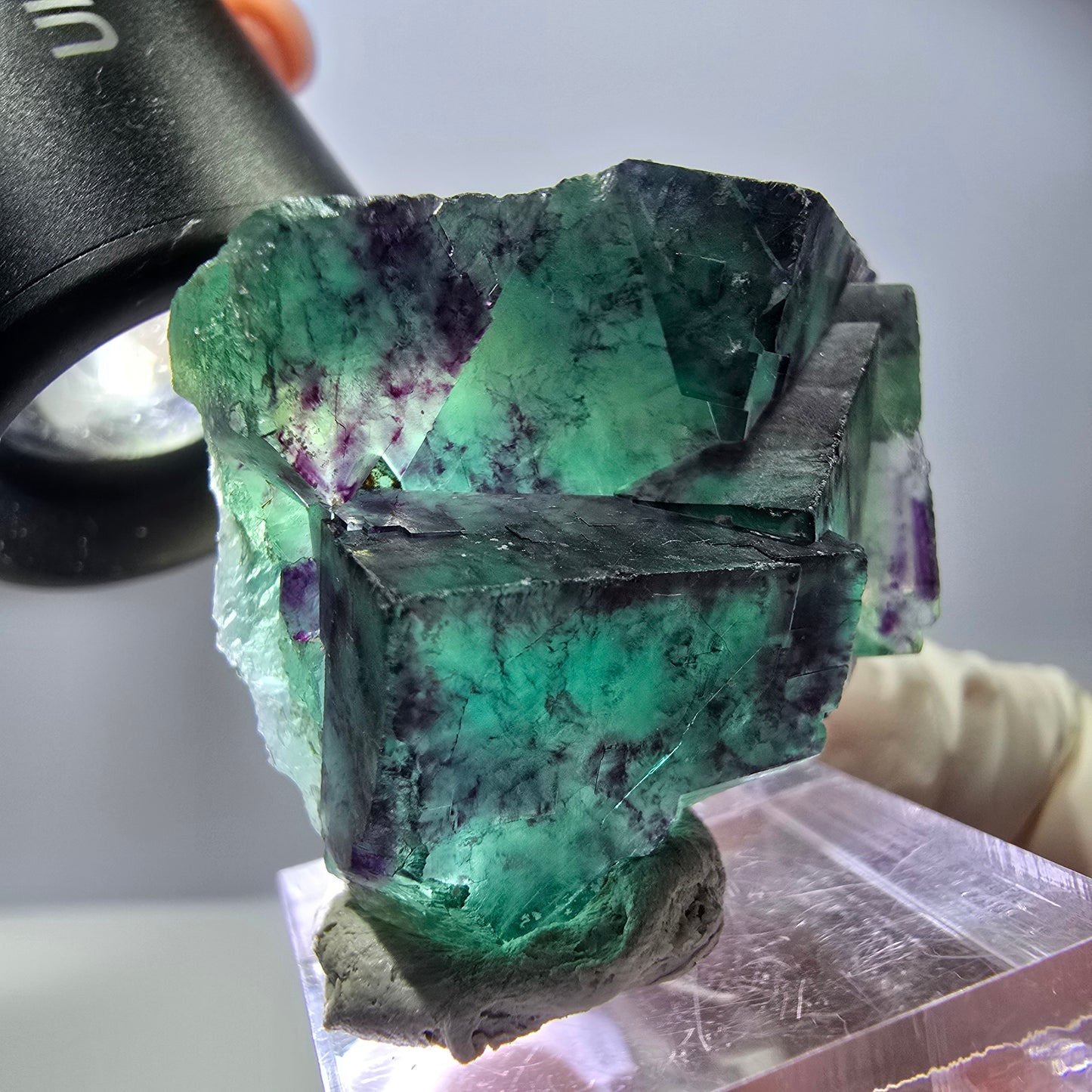 Spécimen rare de cube de fluorite, vert violet, Okorusu, Namibie, 40 x 31 x 17 mm