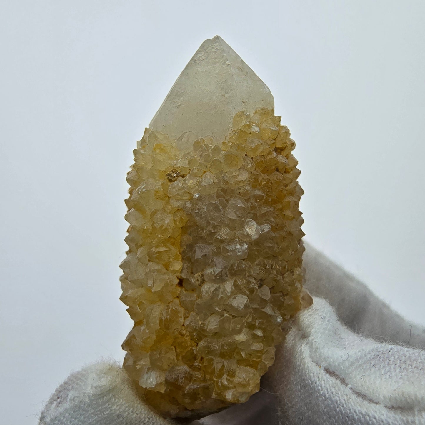 Kaktusquarz, Spirit Quarz XX Stufe Boekenhouthoek, Südafrika 49*29*23mm Sammlung