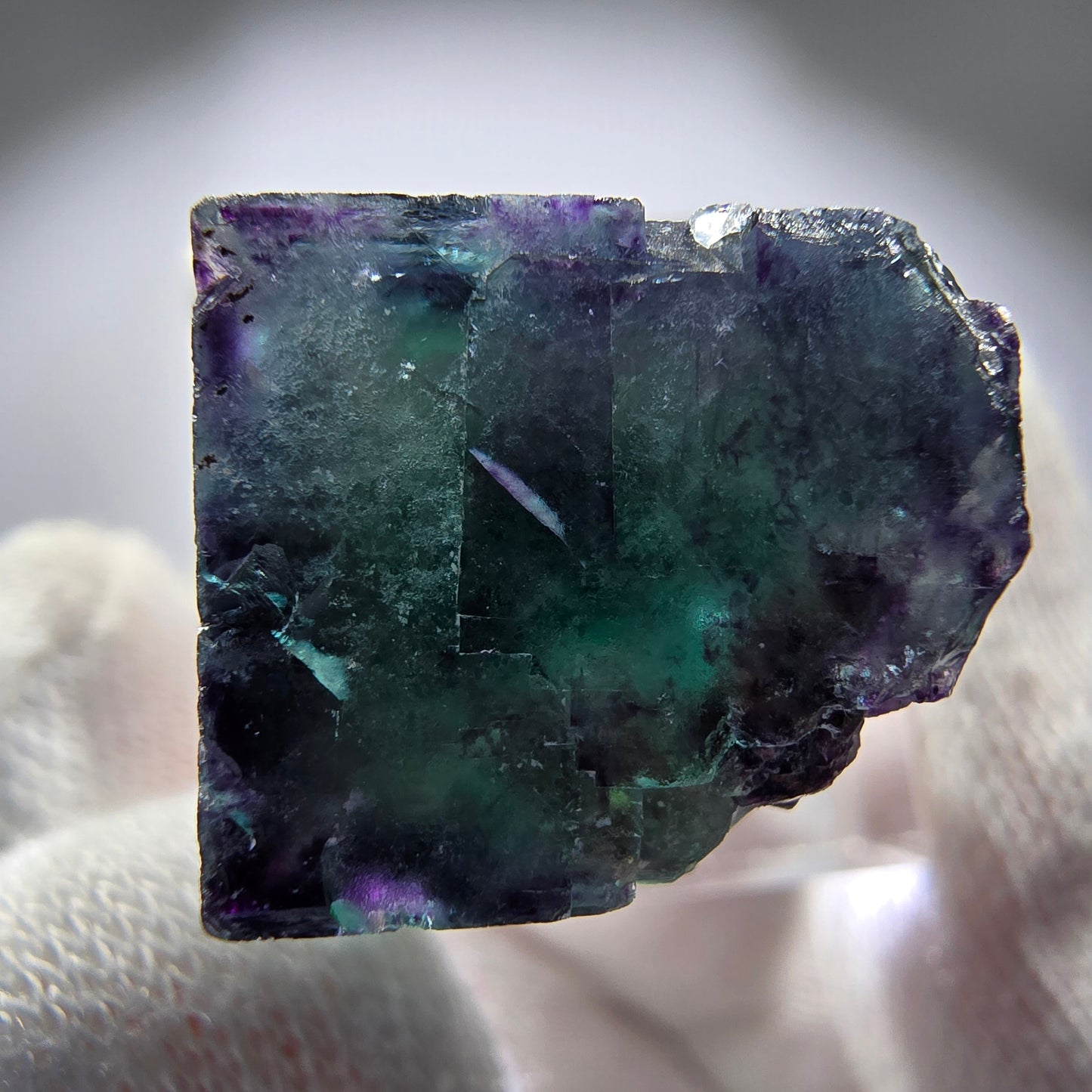 Spécimen rare de cube de fluorite fantôme, vert zonal et violet, Okorusu, Namibie, 27 x 27 x 16 mm