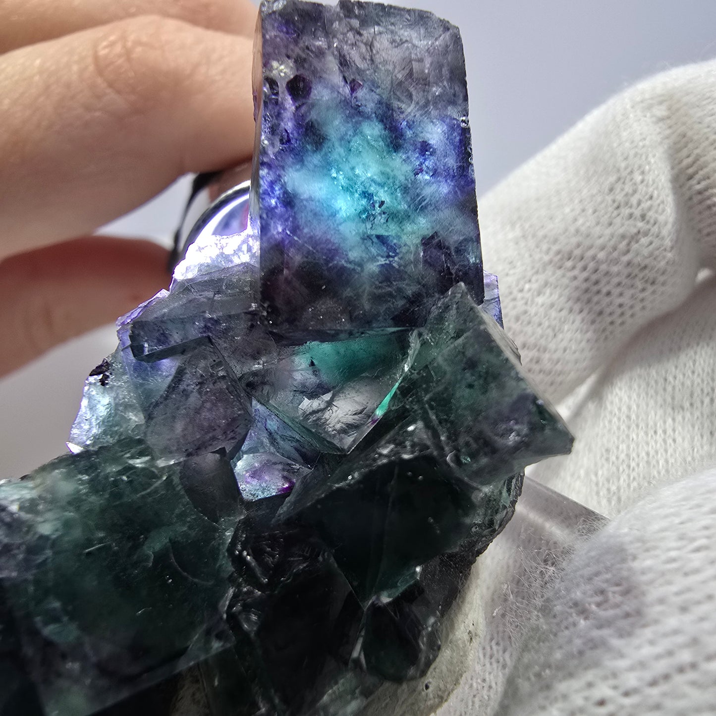 Spécimen de cube de fluorite fantôme transparente, vert-violet zonal, Okorusu, Namibie, 57 x 32 x 18 mm