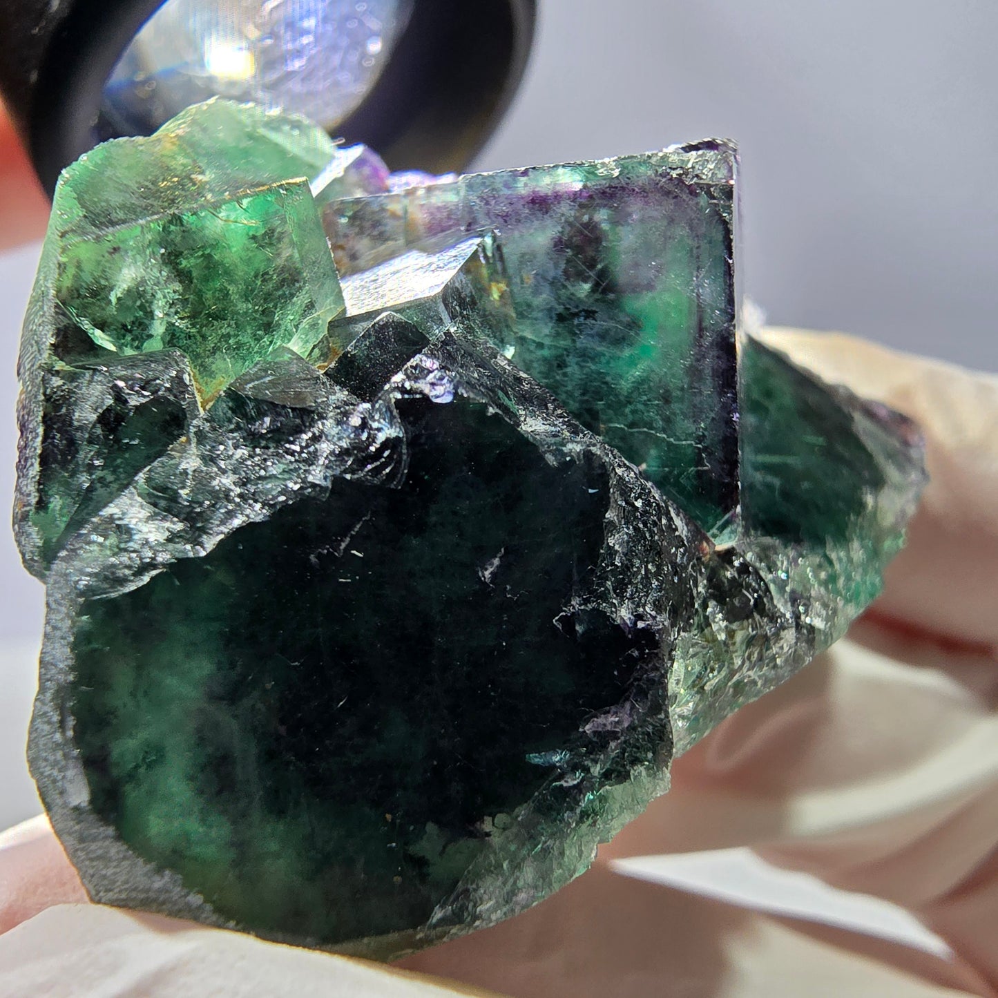 Spécimen de cube de fluorite fantôme parqueté vert violet Okorusu, Namibie 46*37*25 mm