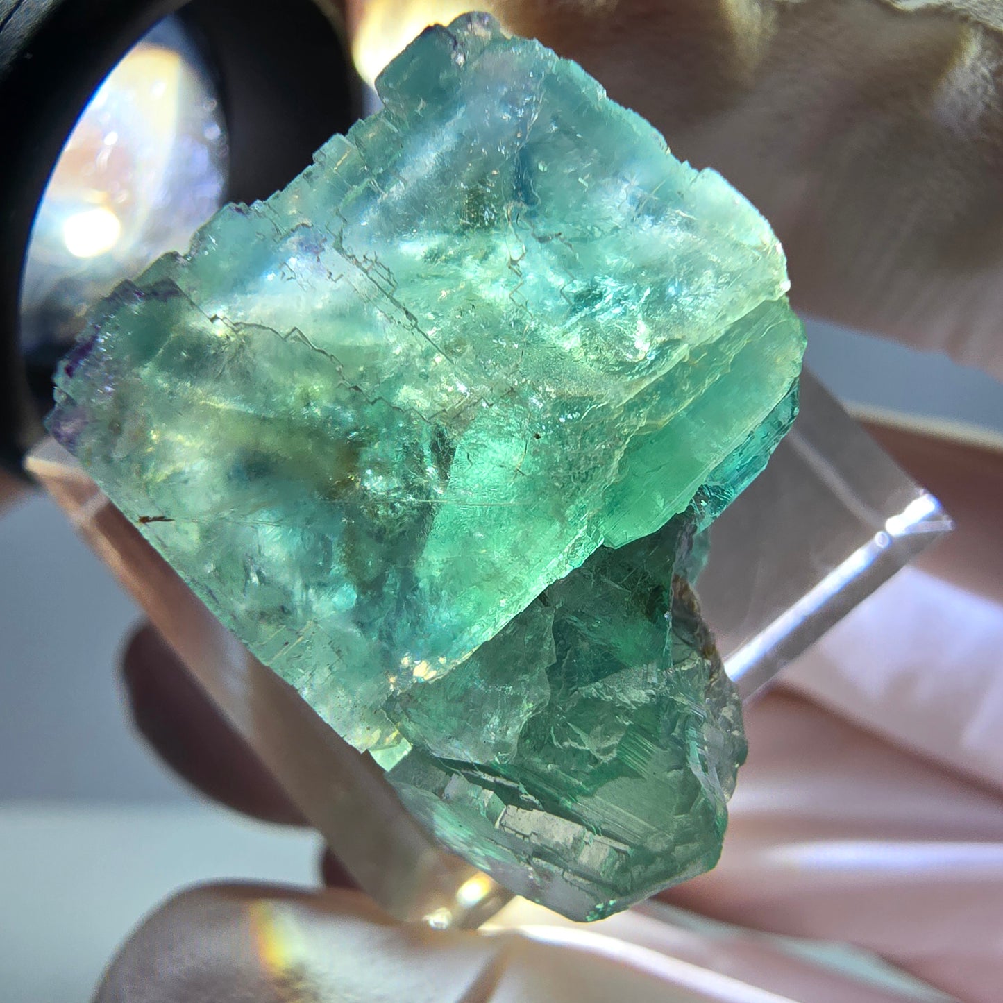 Phantom Fluorit Würfel Stufe, grün parkettiert Okorusu, Namibia 22*20*18mm