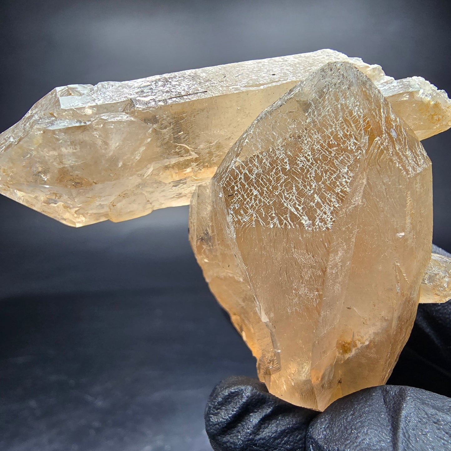Klare Rauchquarz Zepter mit Schörl Turmalin Stufe Erongo, Namibia 58*47*28mm