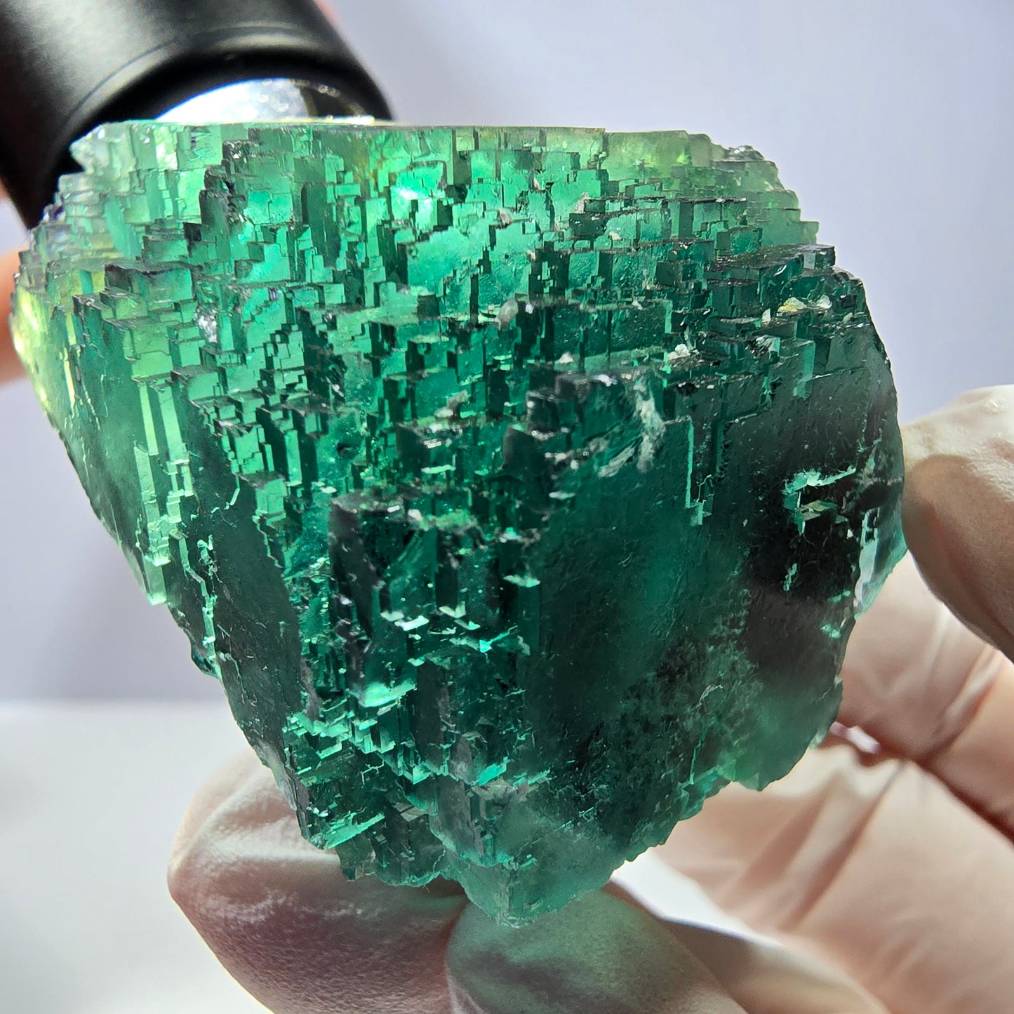 Spécimen de cube de fluorite fantôme transparente, vert parqueté, Okorusu, Namibie, 52 x 49 x 41 mm