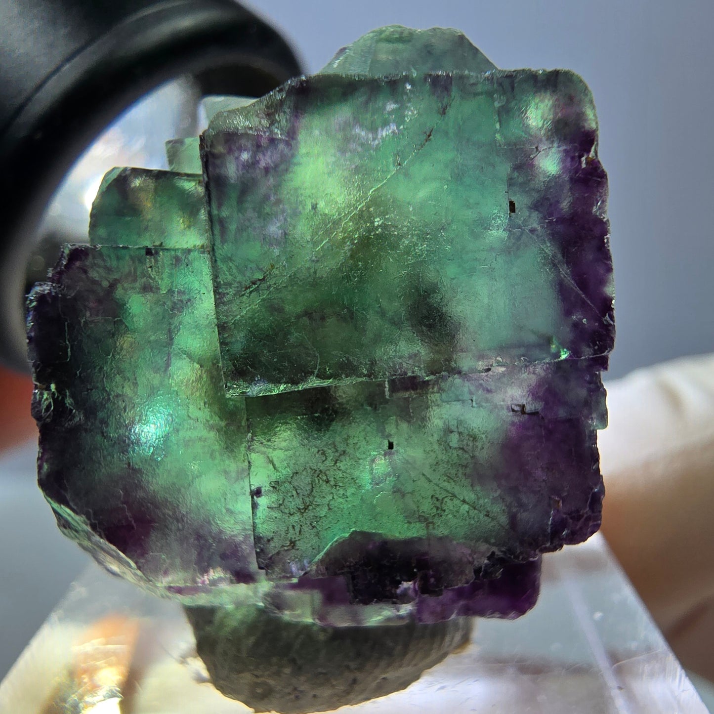 Spécimen de cube de fluorite fantôme, vert violet, Okorusu, Namibie, 26 x 21 x 15 mm