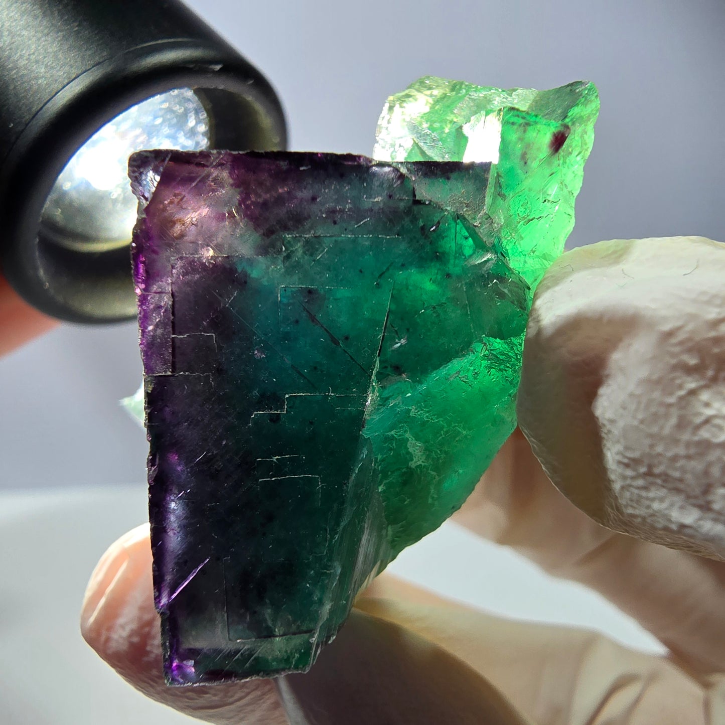 Spécimen de cube de fluorite fantôme, parqueté vert violet Okorusu, Namibie 40*32*25 mm