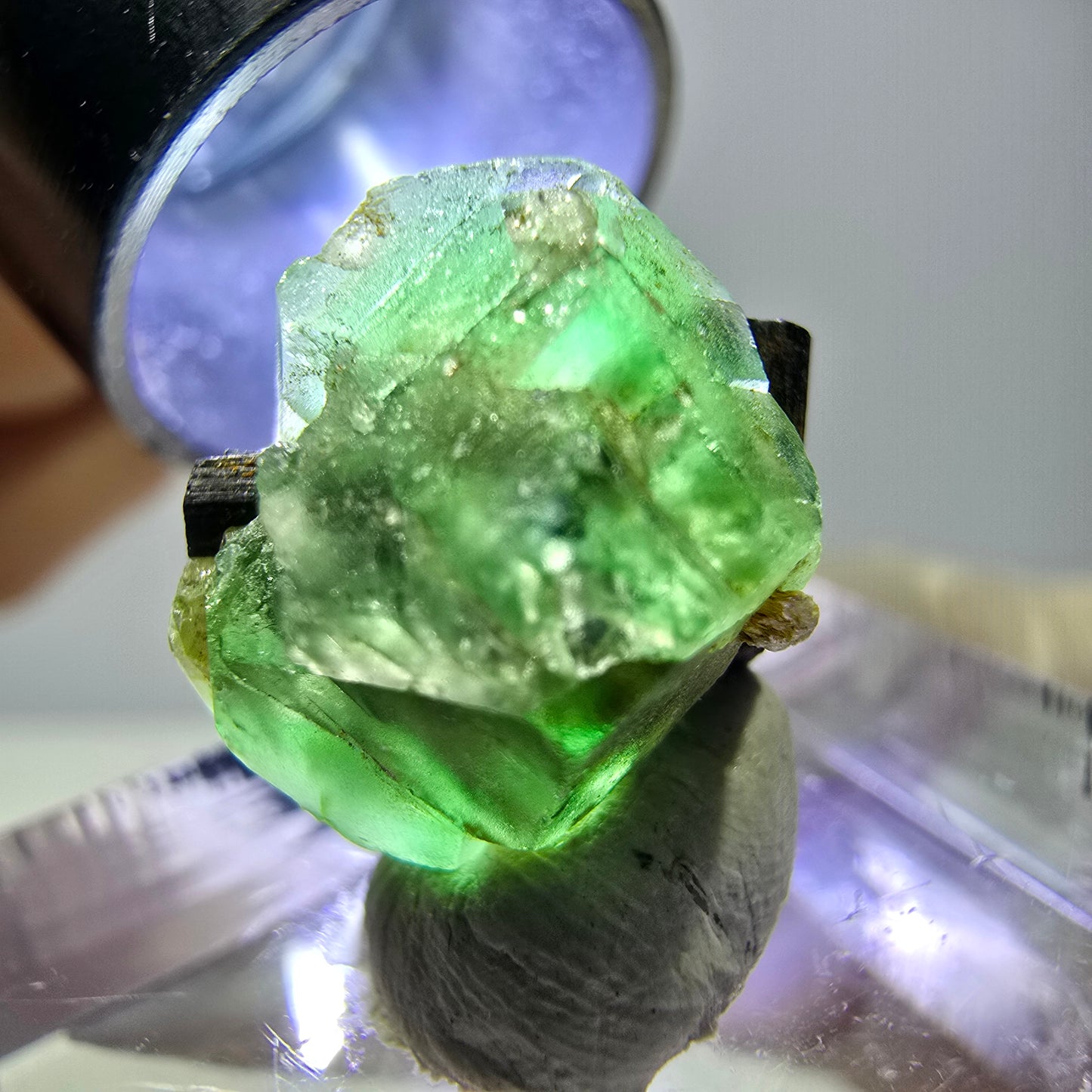 Cube hexagonal de fluorite fantôme, muscovite, tourmaline Schörl, Erongo, Namibie 14 x 13 x 12 mm