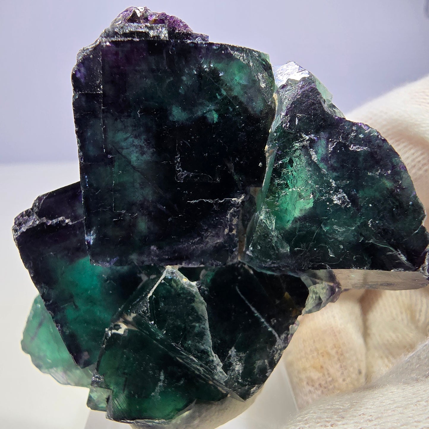 Seltene Phantom Fluorit Würfel Stufe zonal grün lila Okorusu, Namibia 62*49*21mm