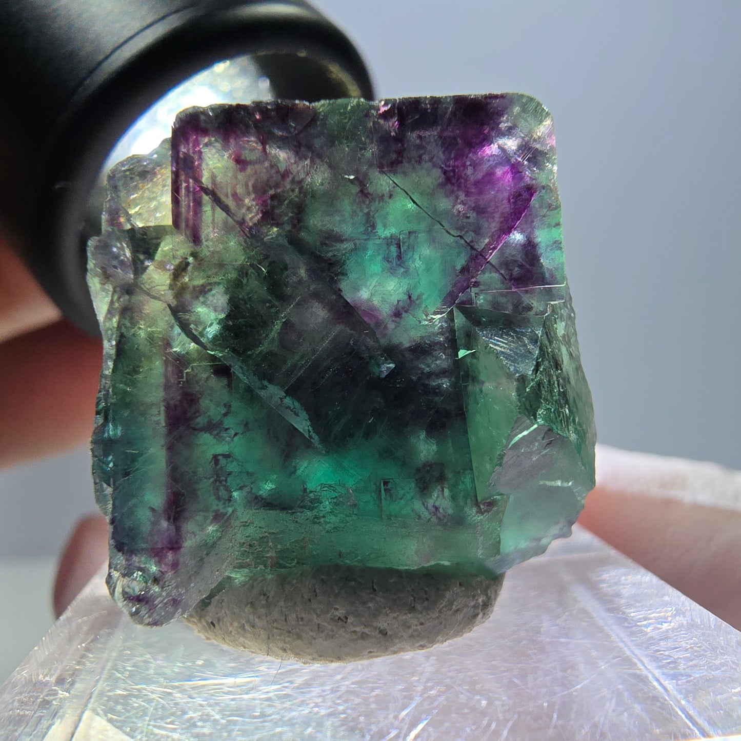 Spécimen de cube de fluorite fantôme, parqueté vert violet Okorusu, Namibie 22*22*18 mm