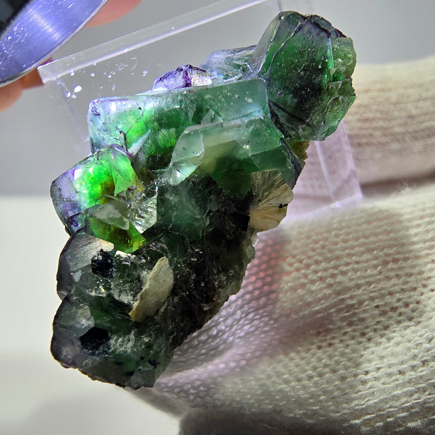 Fluorite fantôme, quartz fumé, hyalite, tourmaline de Schörl, muscovite, Erongo, Namibie, 37 x 18 x 18 mm