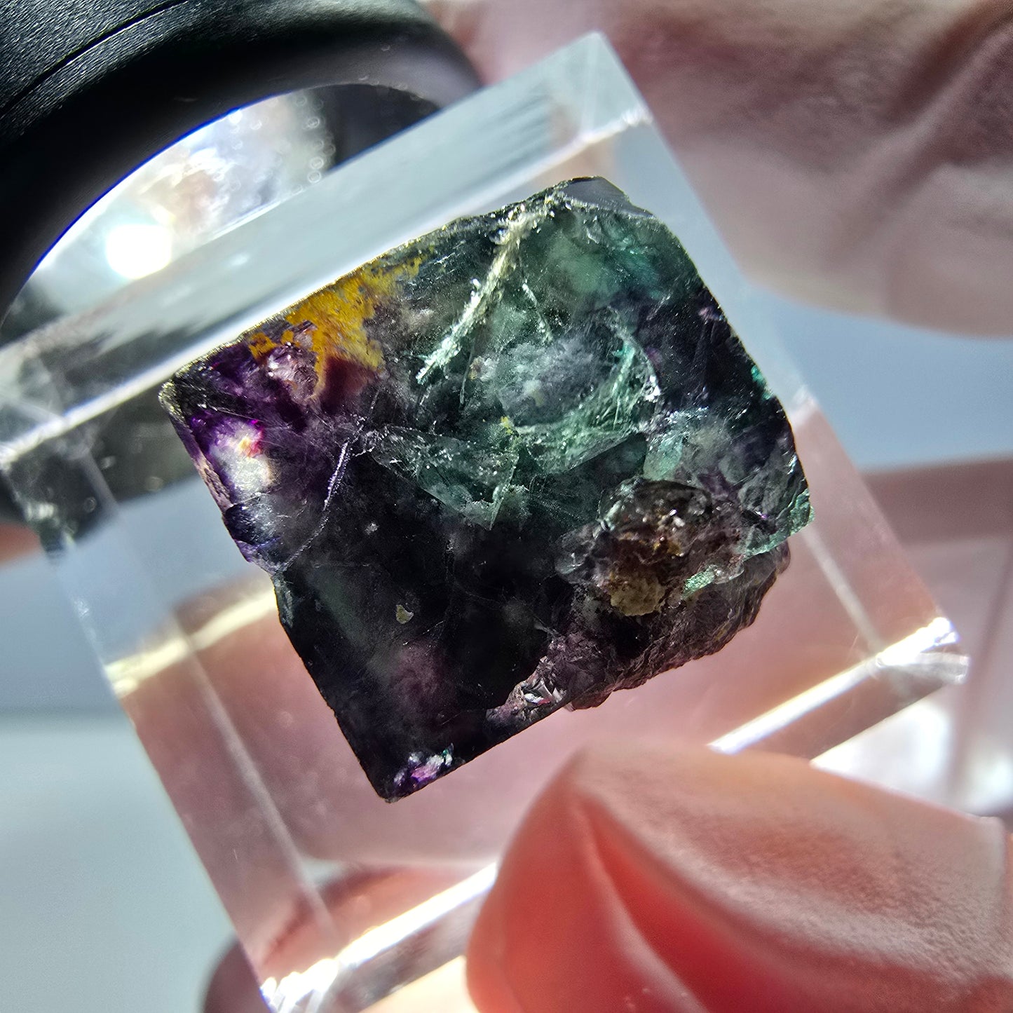 Spécimen de cube de fluorite fantôme, parqueté vert violet Okorusu, Namibie 15*15*14 mm