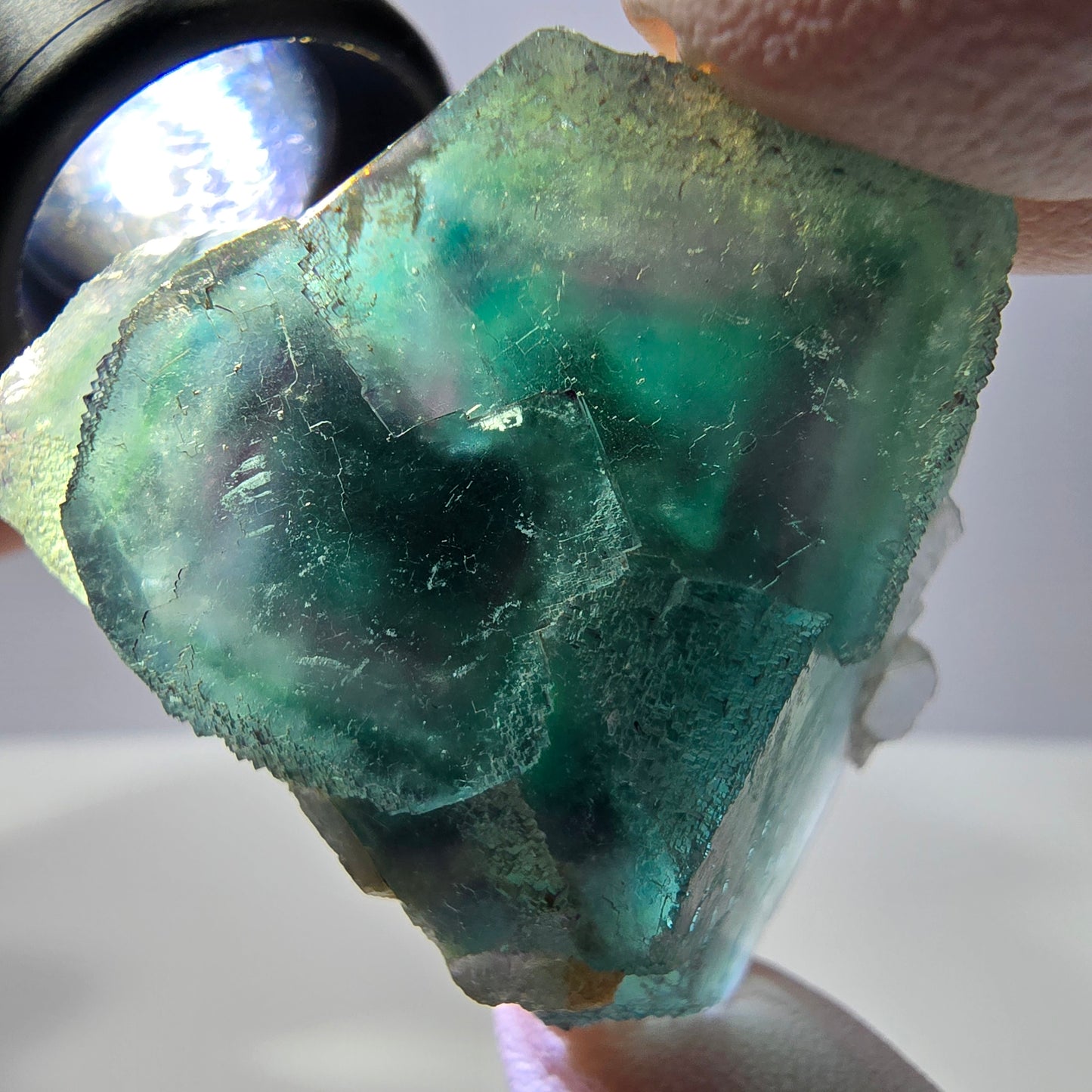 Spécimen de cube de fluorite fantôme, parqueté vert violet Okorusu, Namibie 44*43*21 mm
