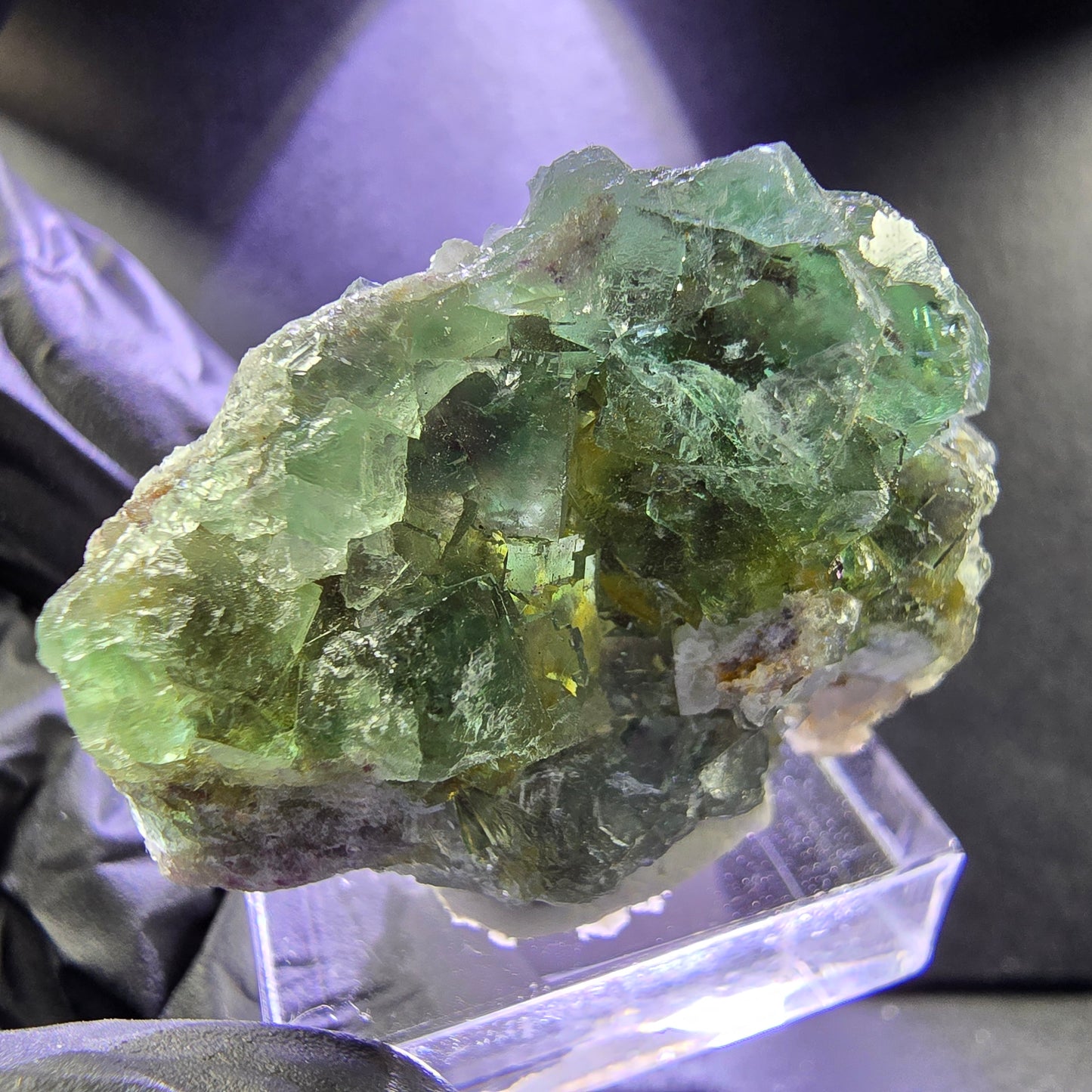 Seltene Fluorit XX Würfel Stufe grün mit Einschlüssen 36*28*13mm Okorusu Namibia