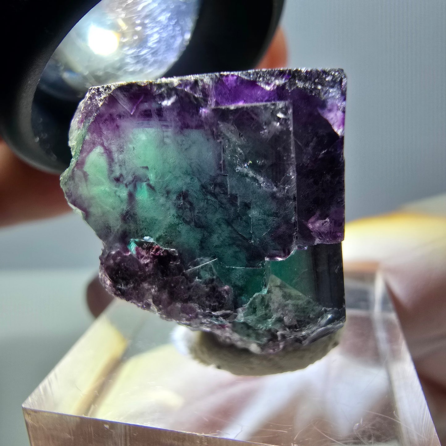 Phantom Fluorit Würfel Stufe, parkettiert grün lila Okorusu, Namibia 22*21*20mm