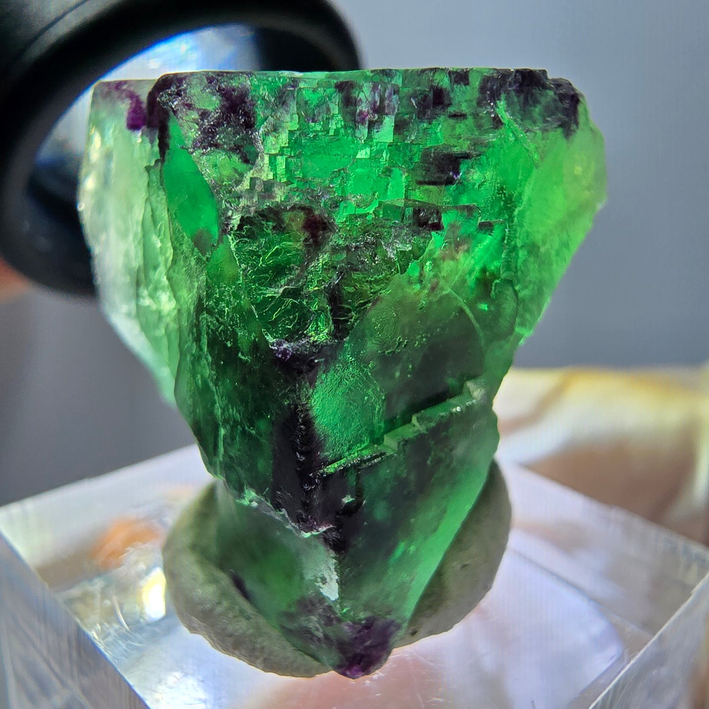 Phantom Fluorit Würfel parkettiert, zonal, grün lila Okorusu, Namibia 31*22*20mm