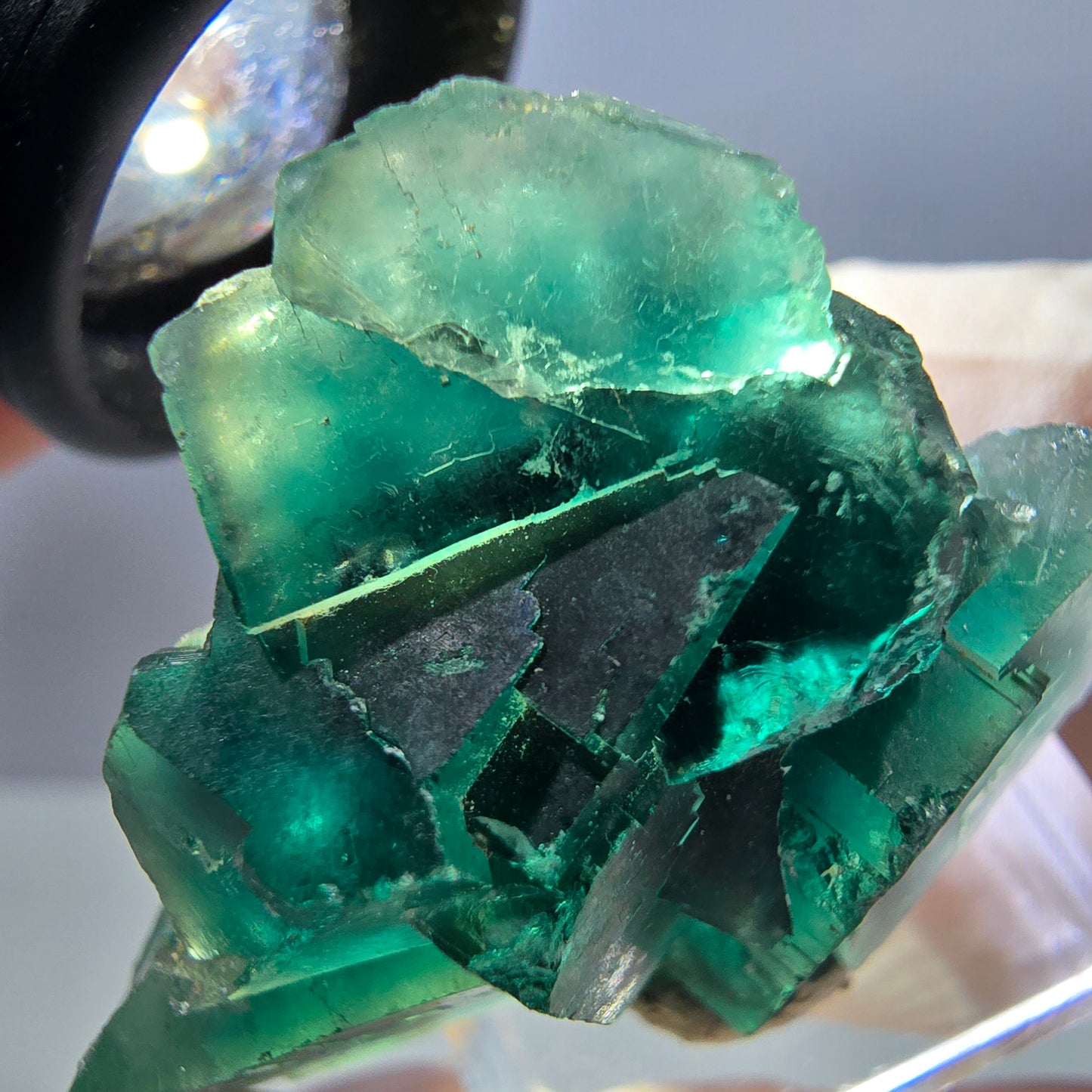 Spécimen de cube de fluorite fantôme, parquet vert Okorusu, Namibie 39 x 34 x 18 mm