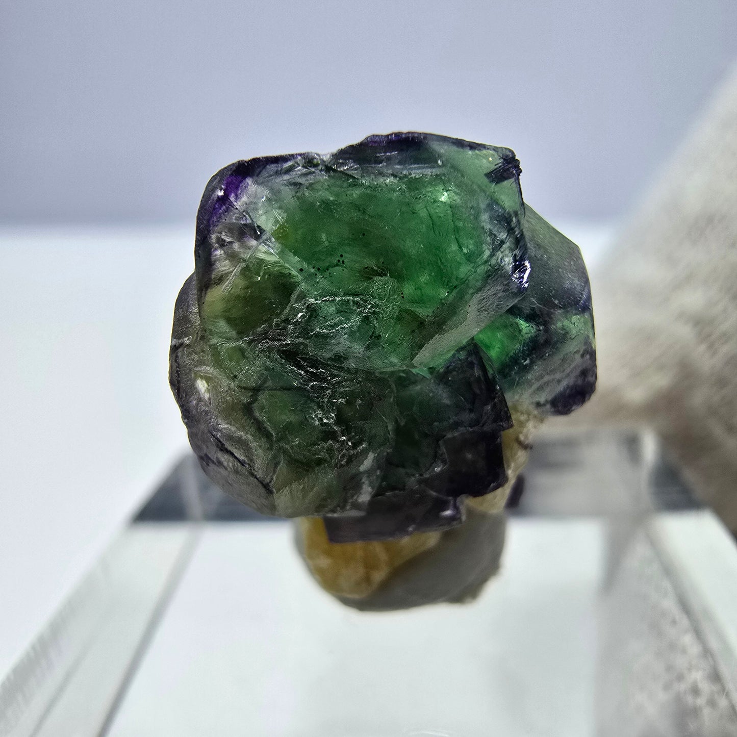 Cube de fluorite fantôme, spécimen de muscovite, Erongo, Namibie, 18 x 14 x 10 mm