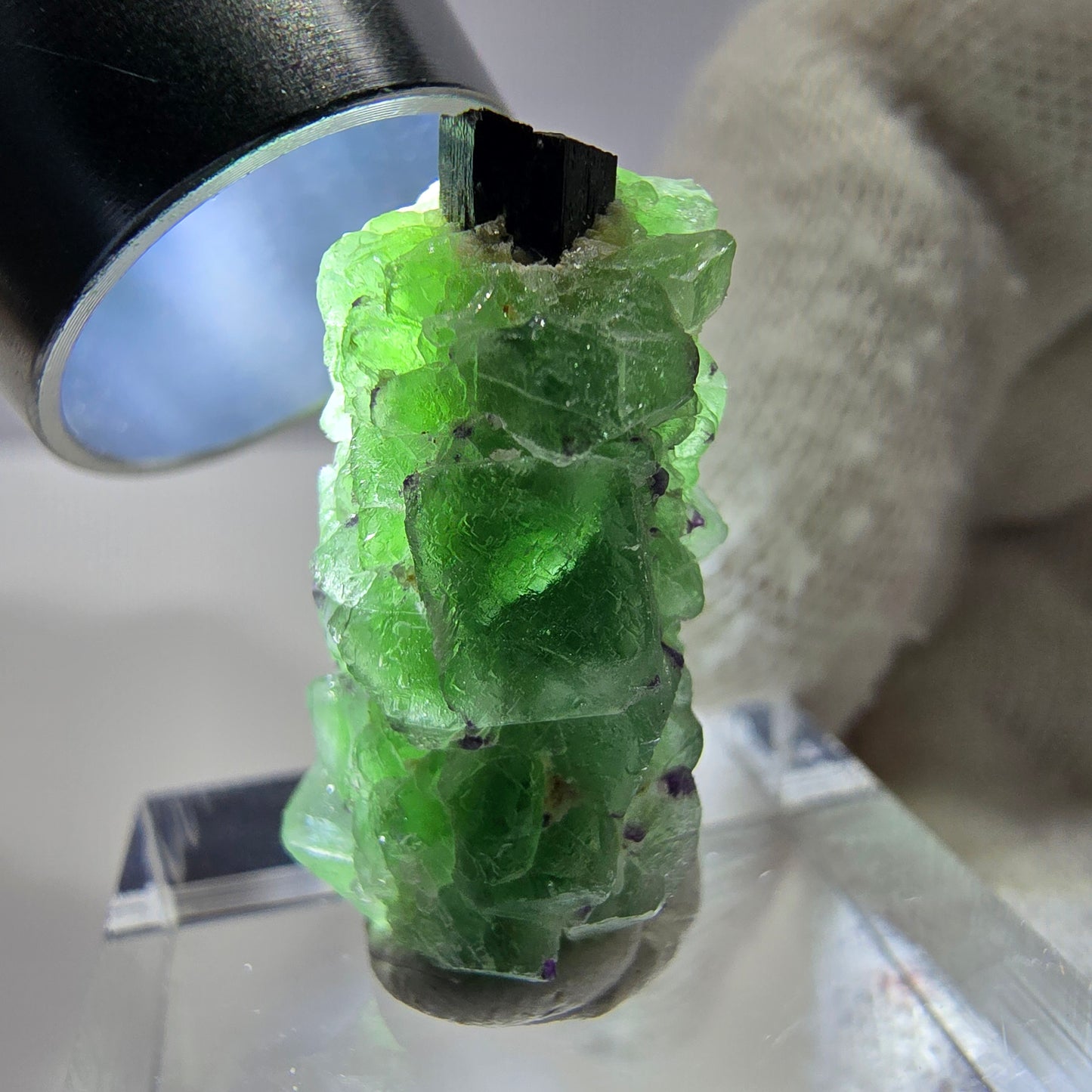 Cube de fluorite fantôme zonal, spécimen de tourmaline Schorl, Erongo, Namibie, 25 x 12 x 12 mm