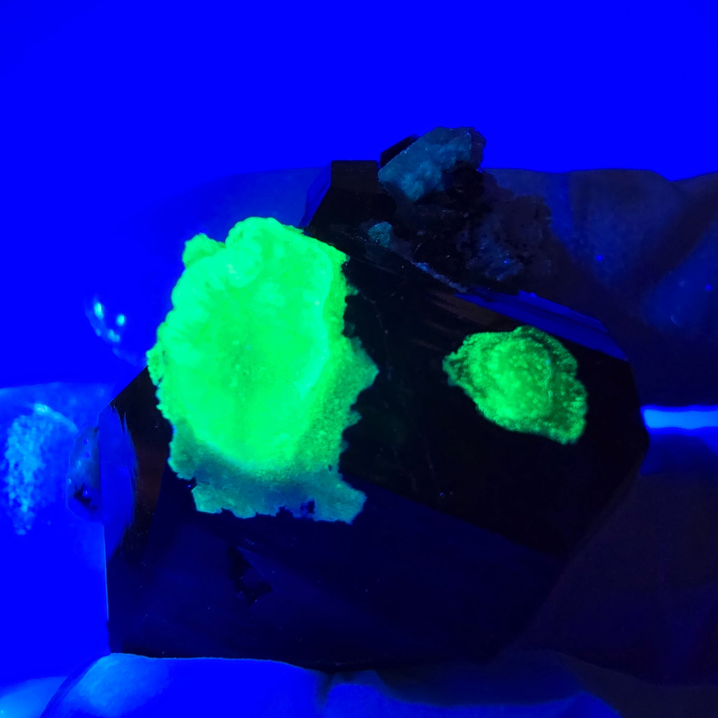 Spécimen de tourmaline Schorl, hyalite, quartz fumé et orthose, Erongo, Namibie, 33 x 23 x 19 mm