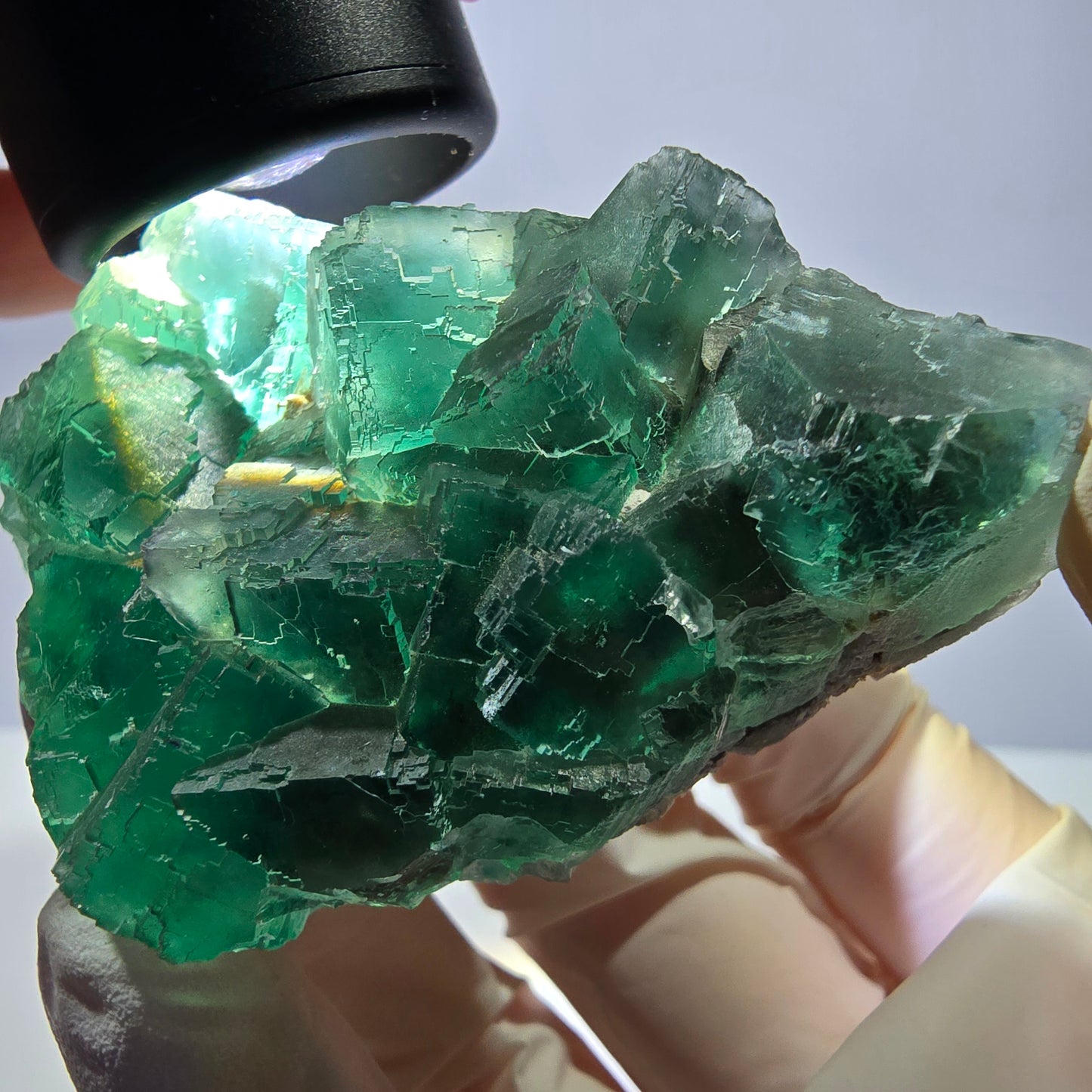 Rare spécimen de cube de fluorite fantôme, parqueté vert Okorusu, Namibie, 61 x 45 x 28 mm