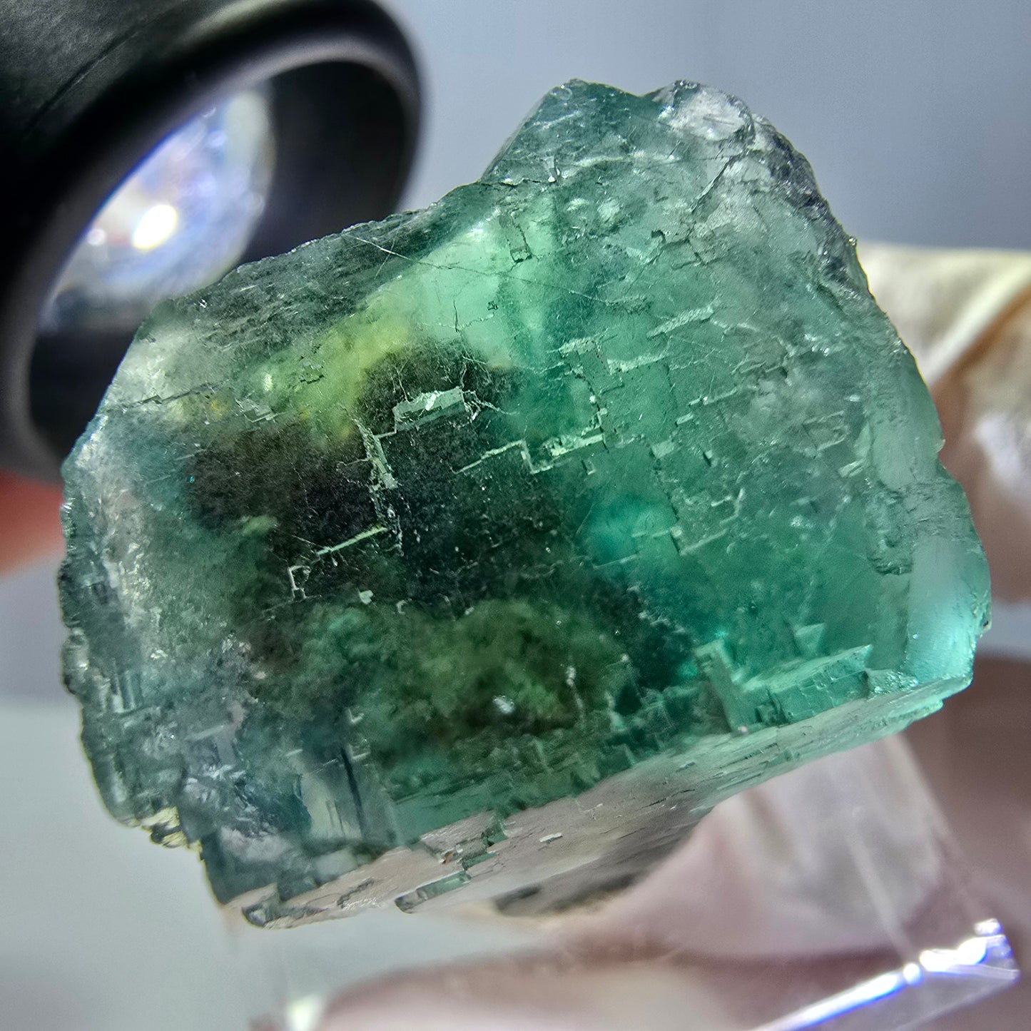 Cube de fluorite fantôme transparente parquetée, vert Okorusu, Namibie 23 x 21 x 19 mm