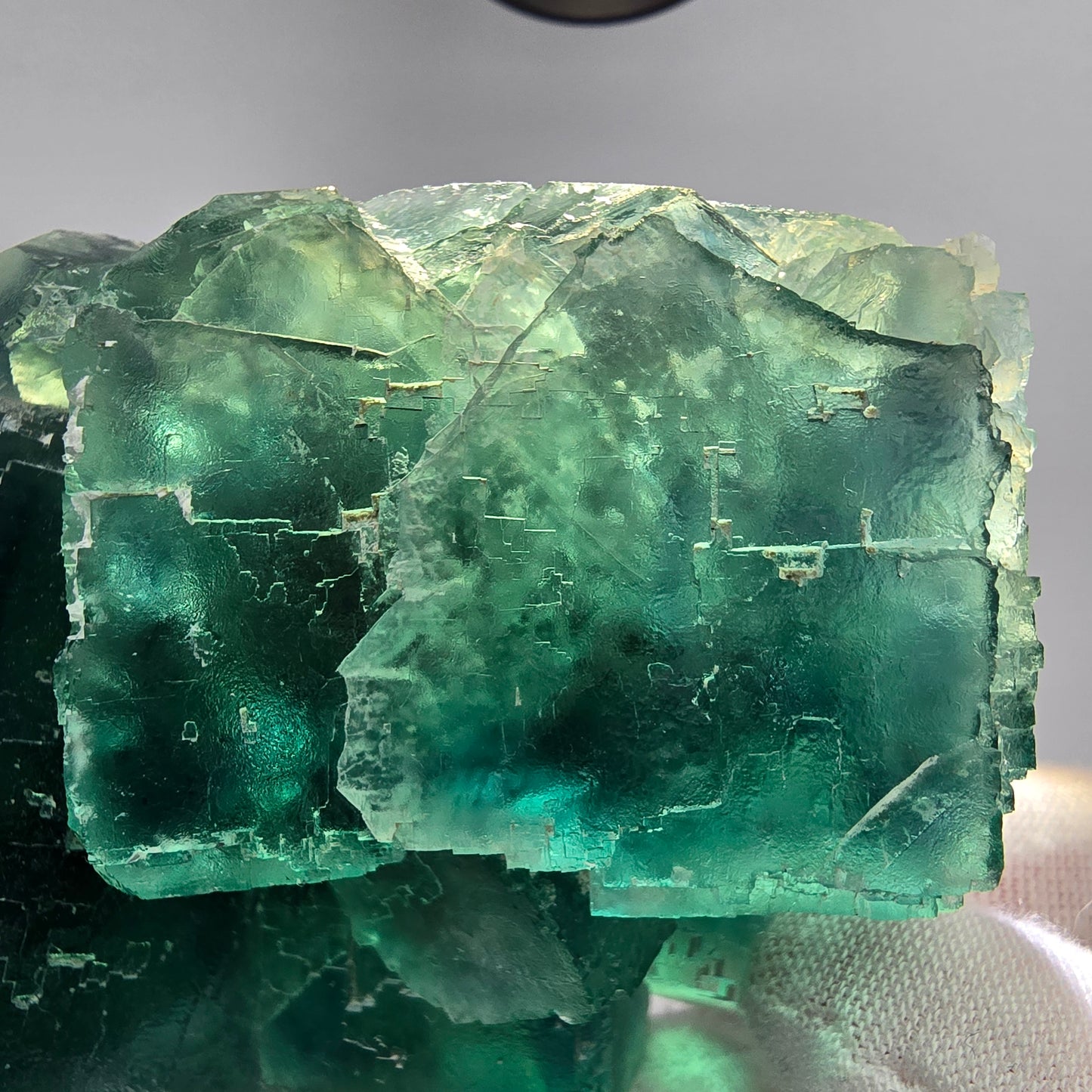 Große Phantom Fluorit Würfel Stufe grün parkettiert Okorusu, Namibia 81*68*35mm