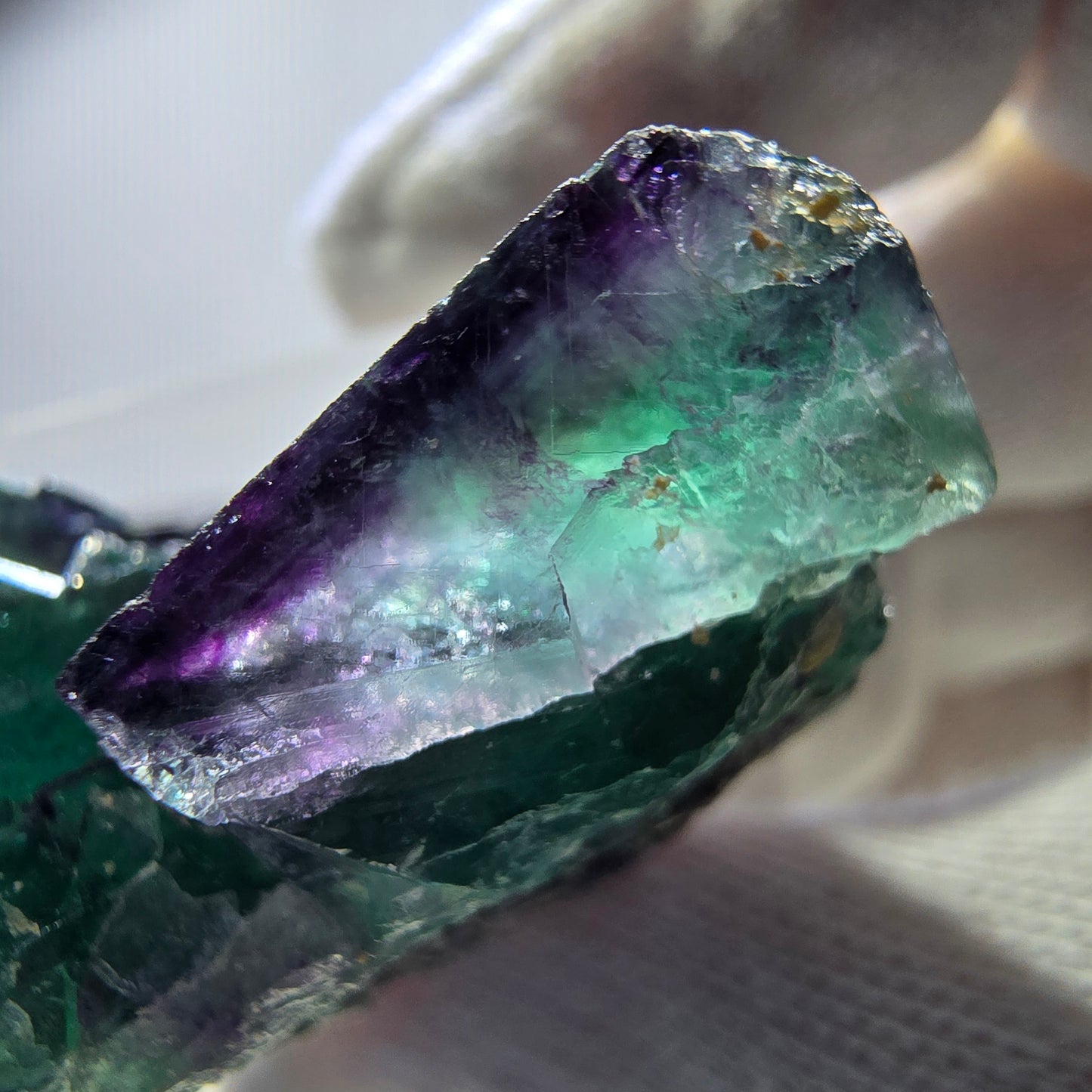Spécimen rare de cube de fluorite fantôme, vert-violet zonal, Okorusu, Namibie, 46 x 37 x 24 mm