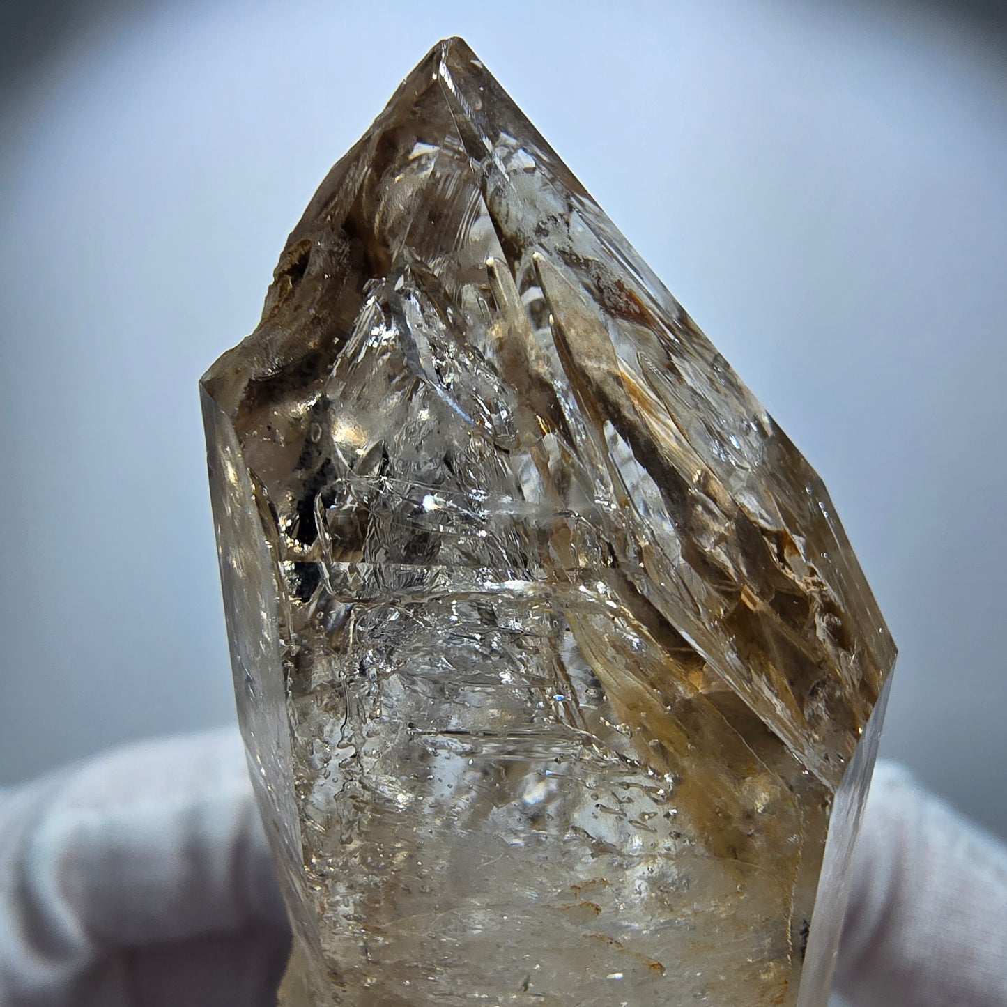 Enhydro Phantom Rauchquarz Fenster Zepter, 1x Blase Goboboseb Namibia 64*28*22mm