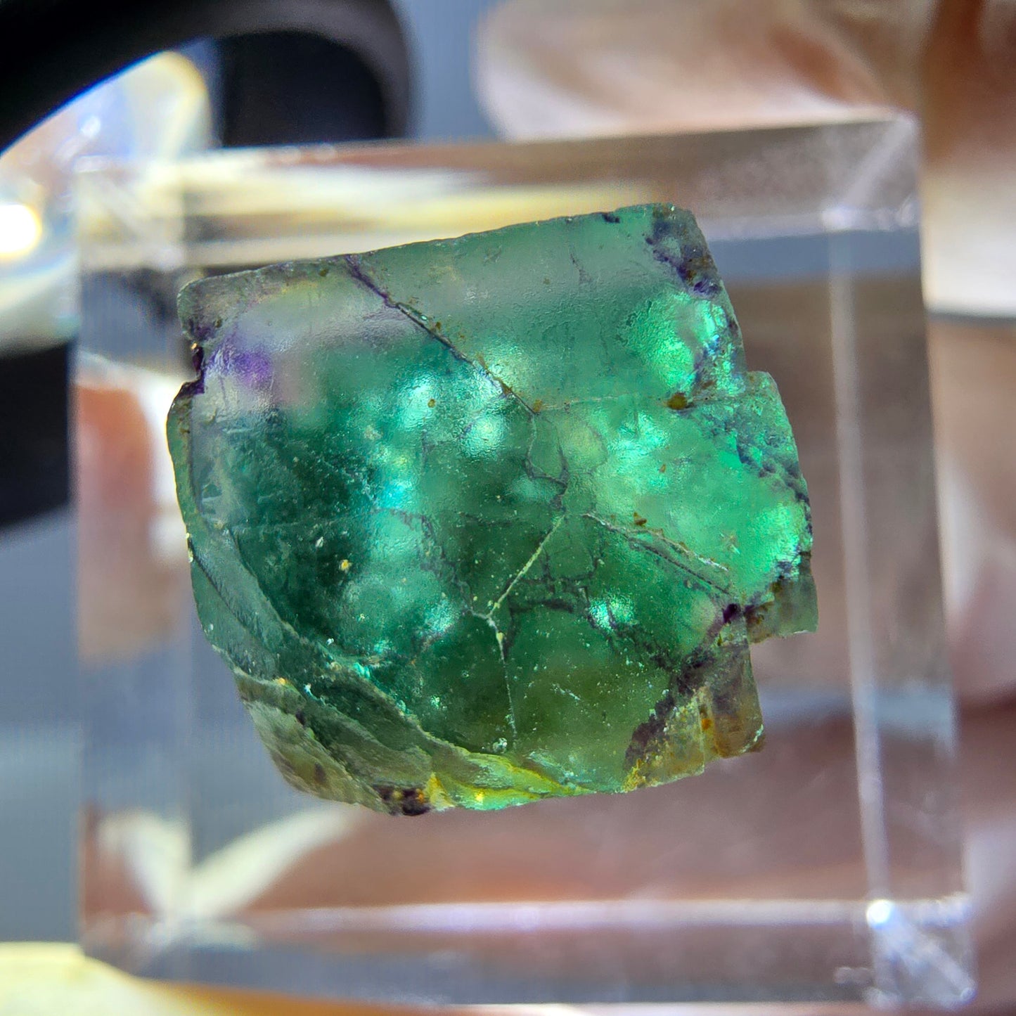 Phantom Fluorit Würfel parkettiert, grün lila Okorusu, Namibia 12*12*12mm