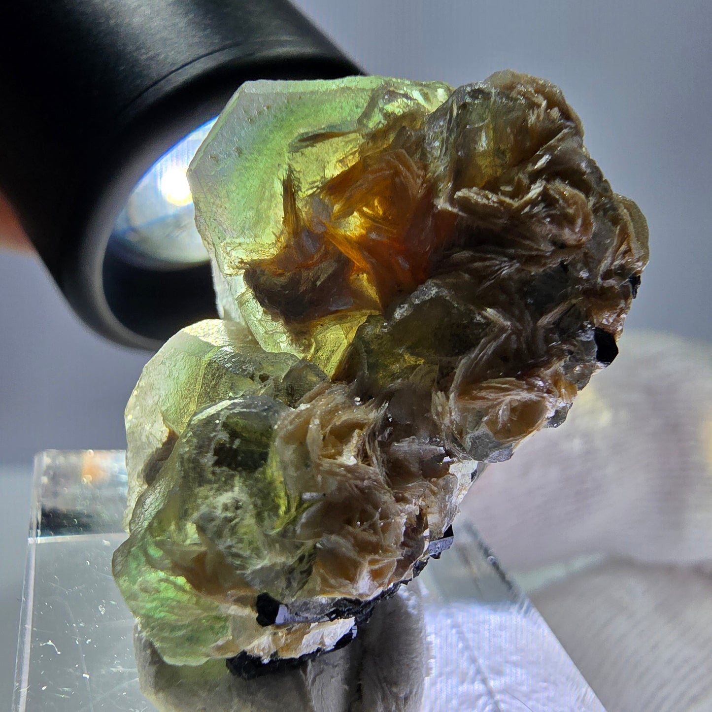 Cube de fluorite fantôme, spécimen hexagonal de tourmaline muscovite Schorl, Erongo, Namibie, 33 x 21 x 19 mm