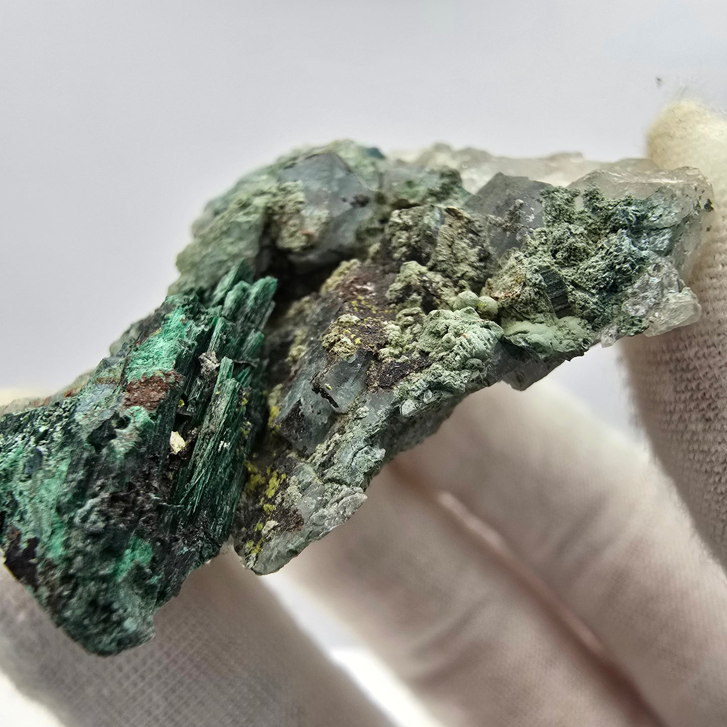 Spécimen rare de malachite, chrysocolle sur quartz Kaokoveld, Namibie 56*45*18mm