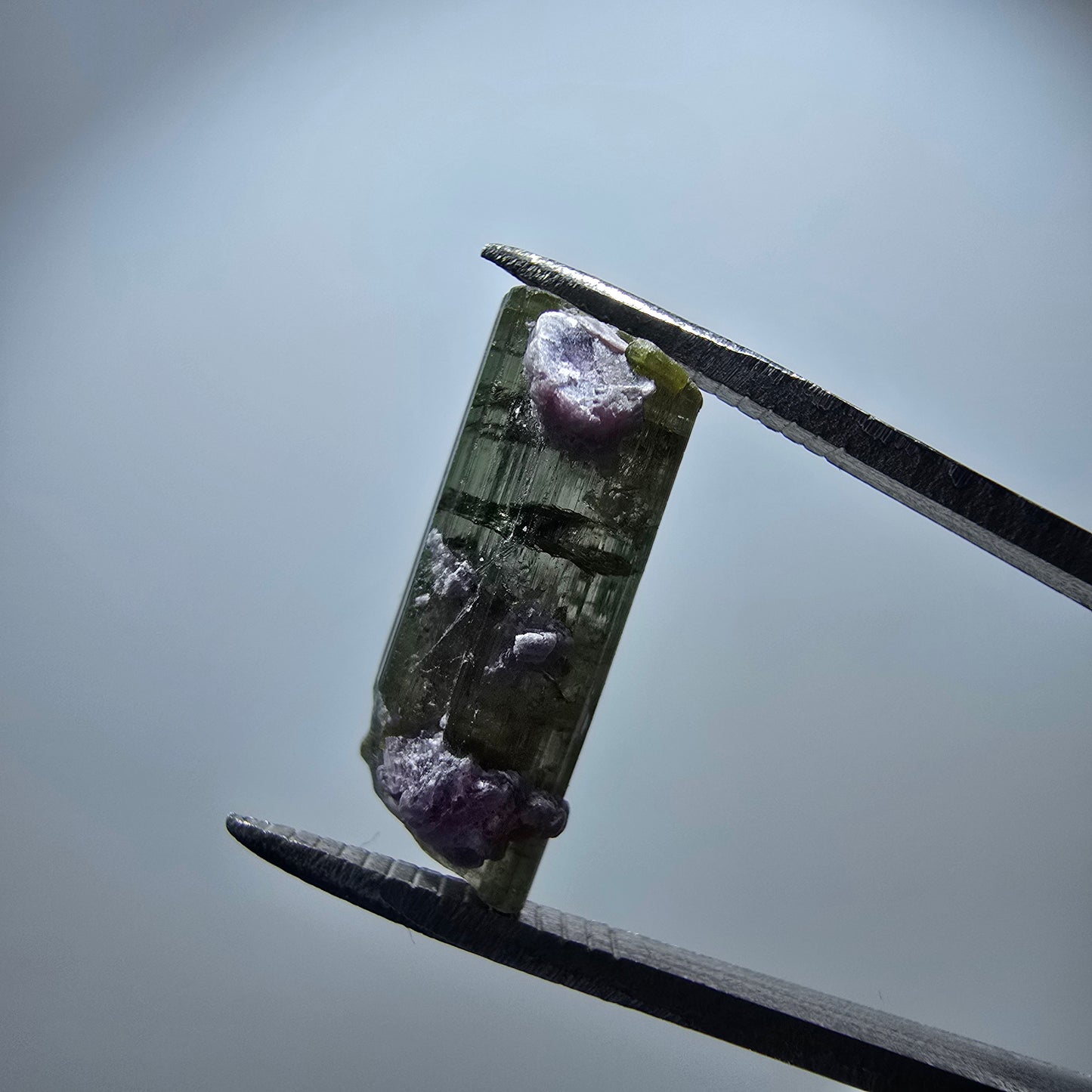 Cristal de tourmaline verdélite rare, vert Minas Gerais, Brésil 17*8*7mm