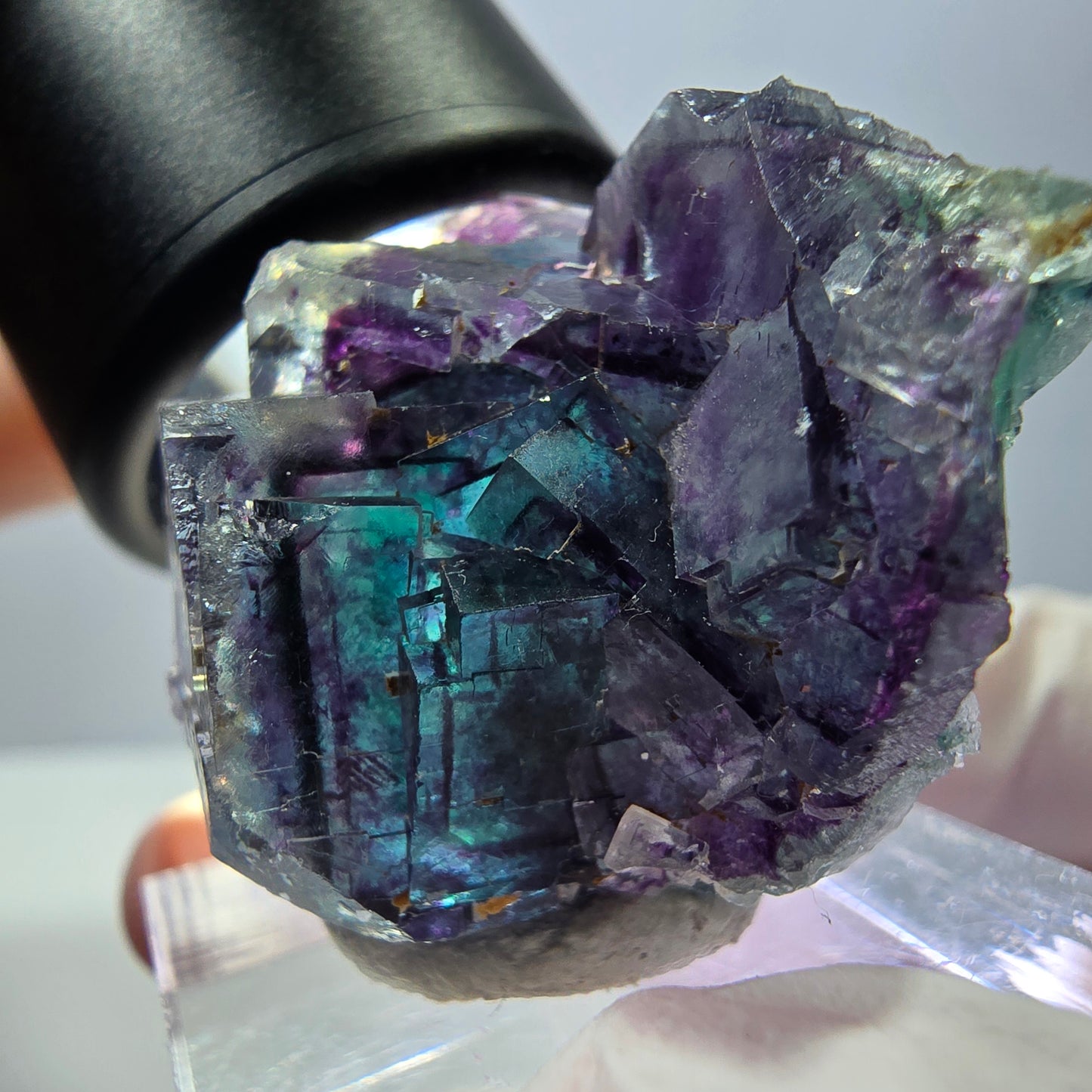 Seltene Fluorit Würfel Stufe, grün lila Okorusu, Namibia 31*27*19mm