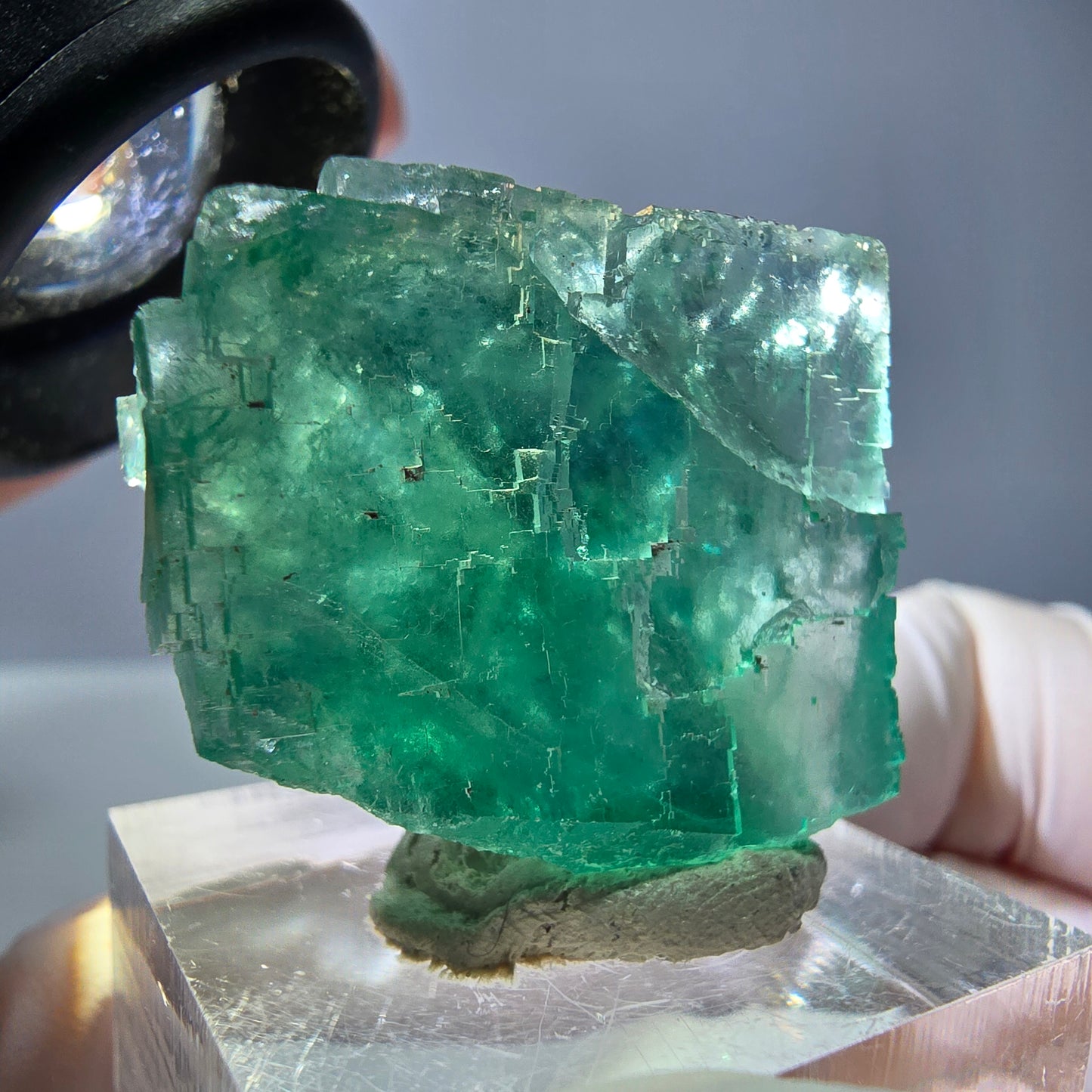 Cube de fluorite fantôme transparente parquetée, vert Okorusu, Namibie 28 x 24 x 20 mm